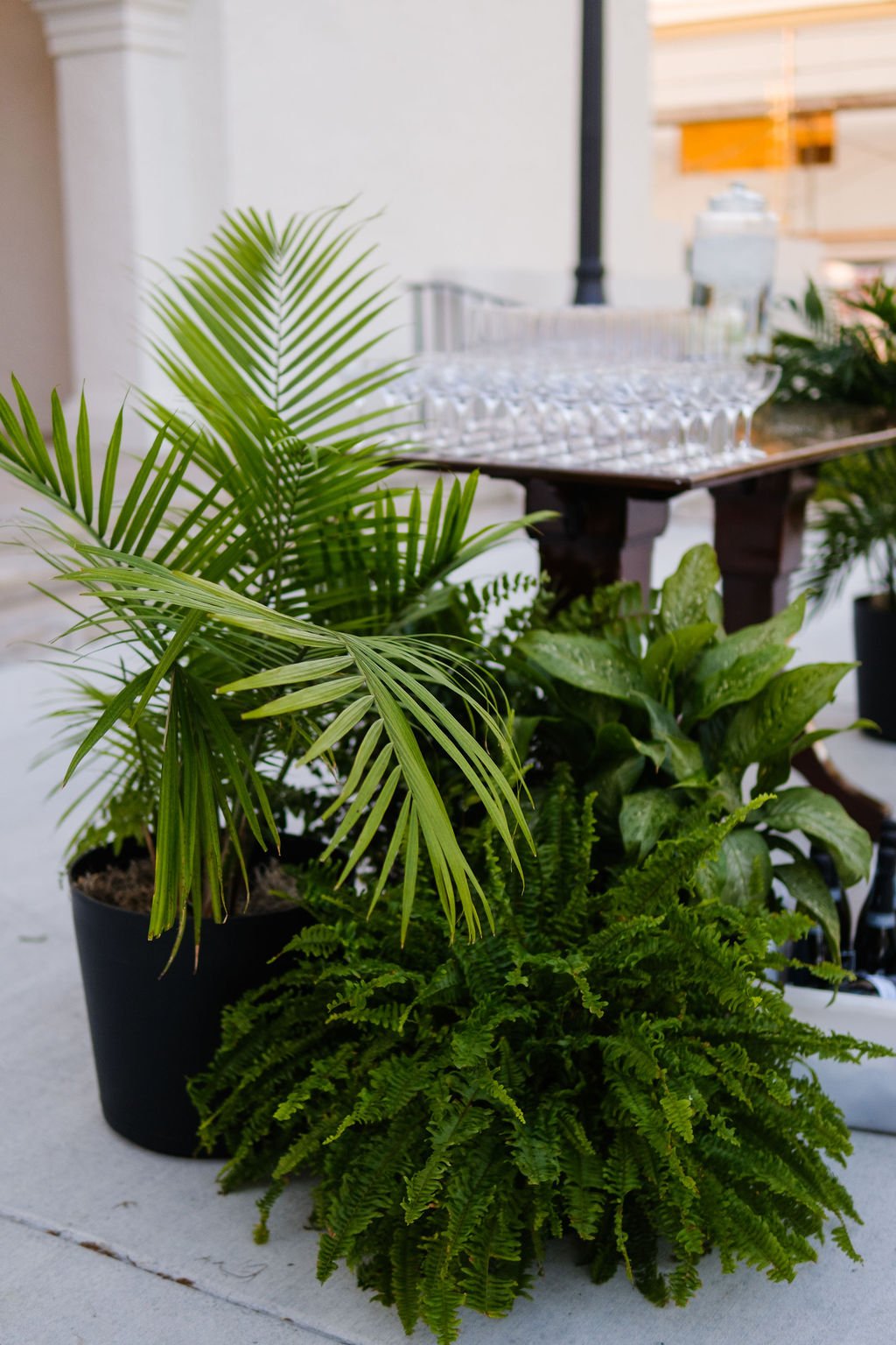 new-orleans-wedding-entrance-plant-rentals-welcome-drinks.jpg