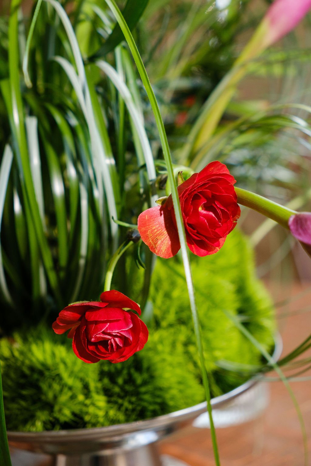 New Orleans plant rentals and Floral