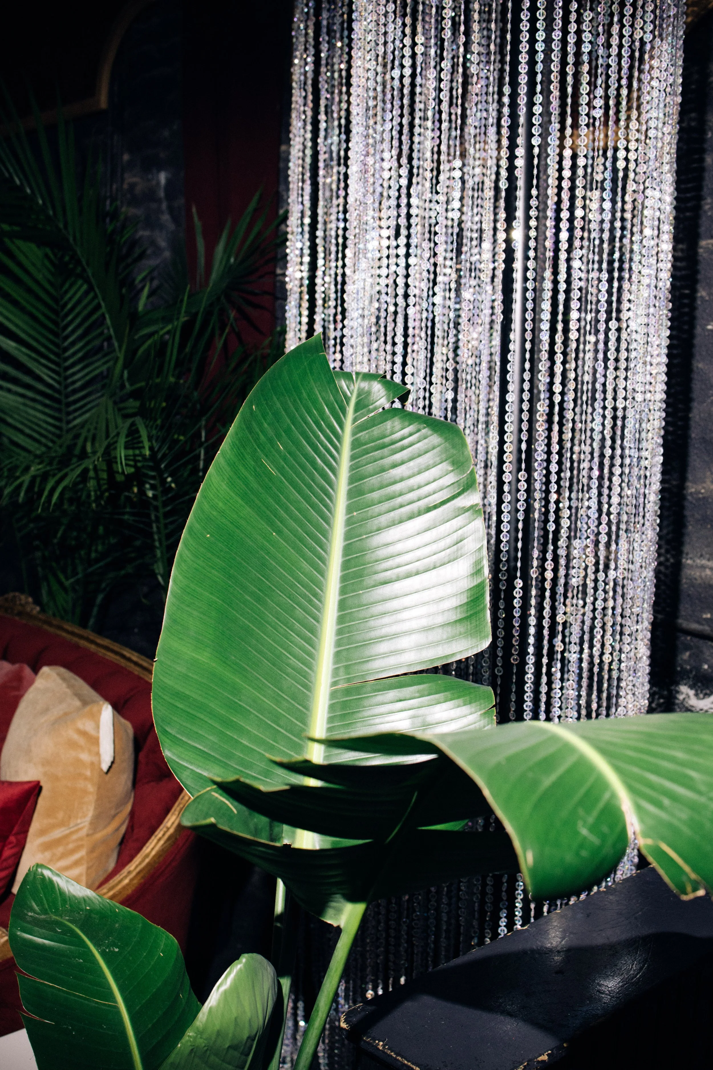 Tropical plant installations defining lounge spaces at a New Orleans conference.