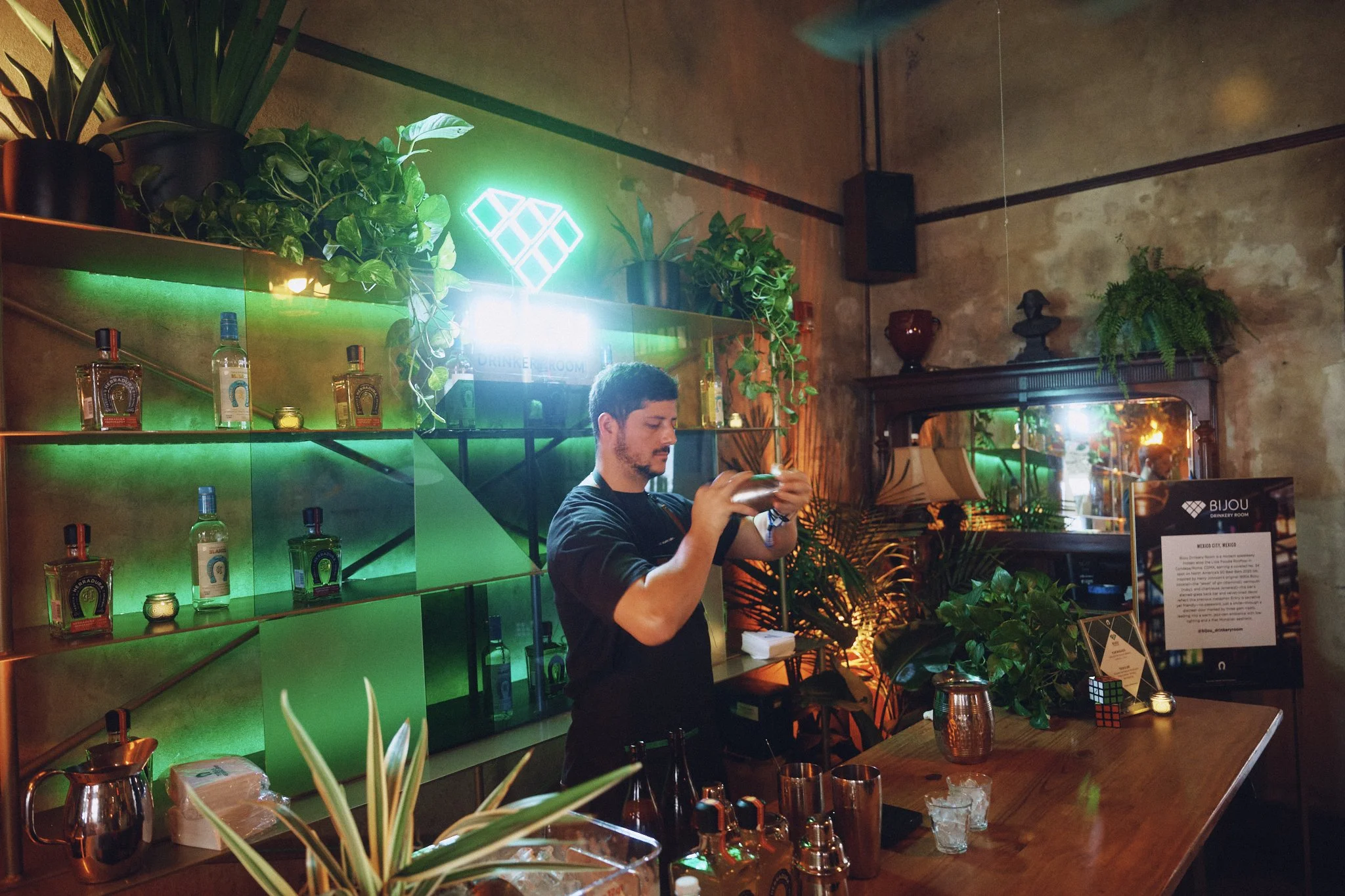 Curated rental plants that bring instant atmosphere to any environment.