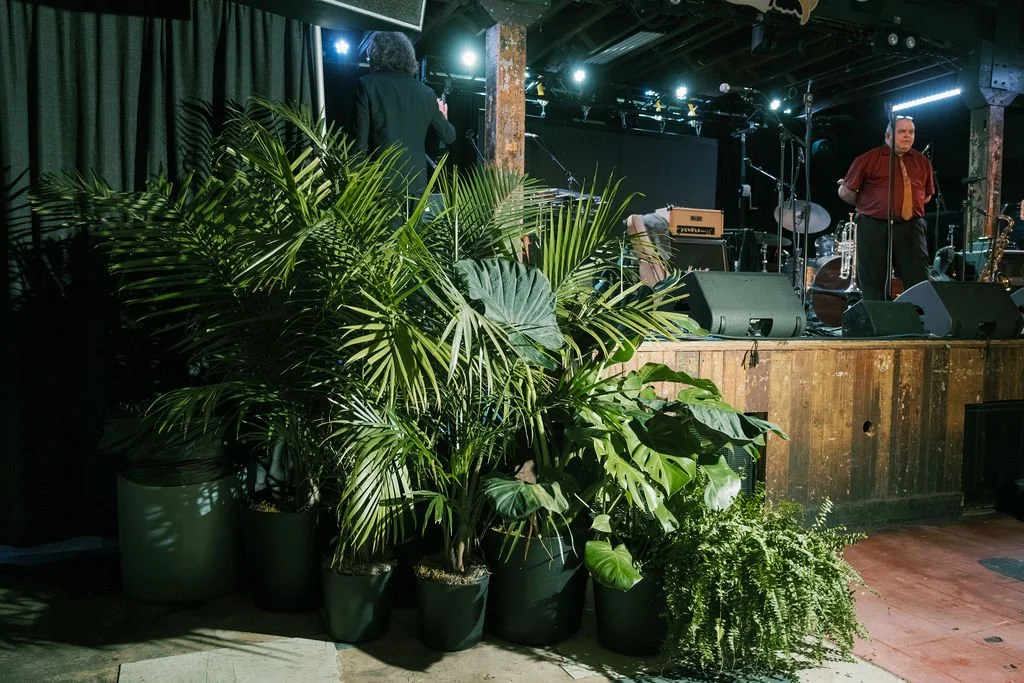 Plant rentals designed to complement any event aesthetic.