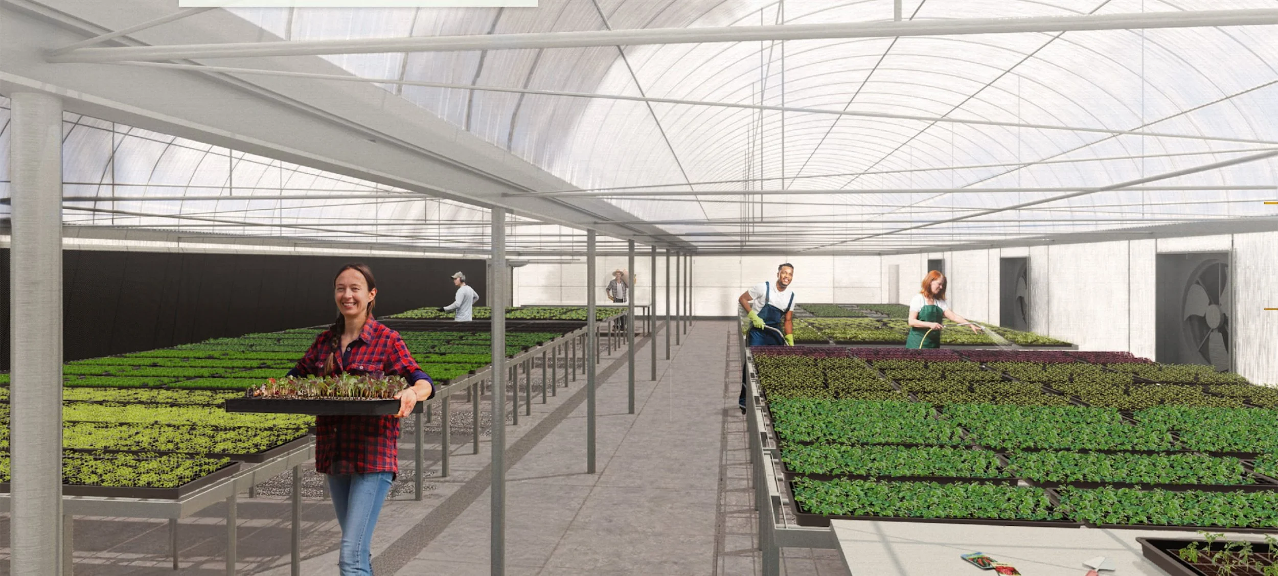 Food Justice Northwest Aurora Reaches a New Greenhouse Milestone