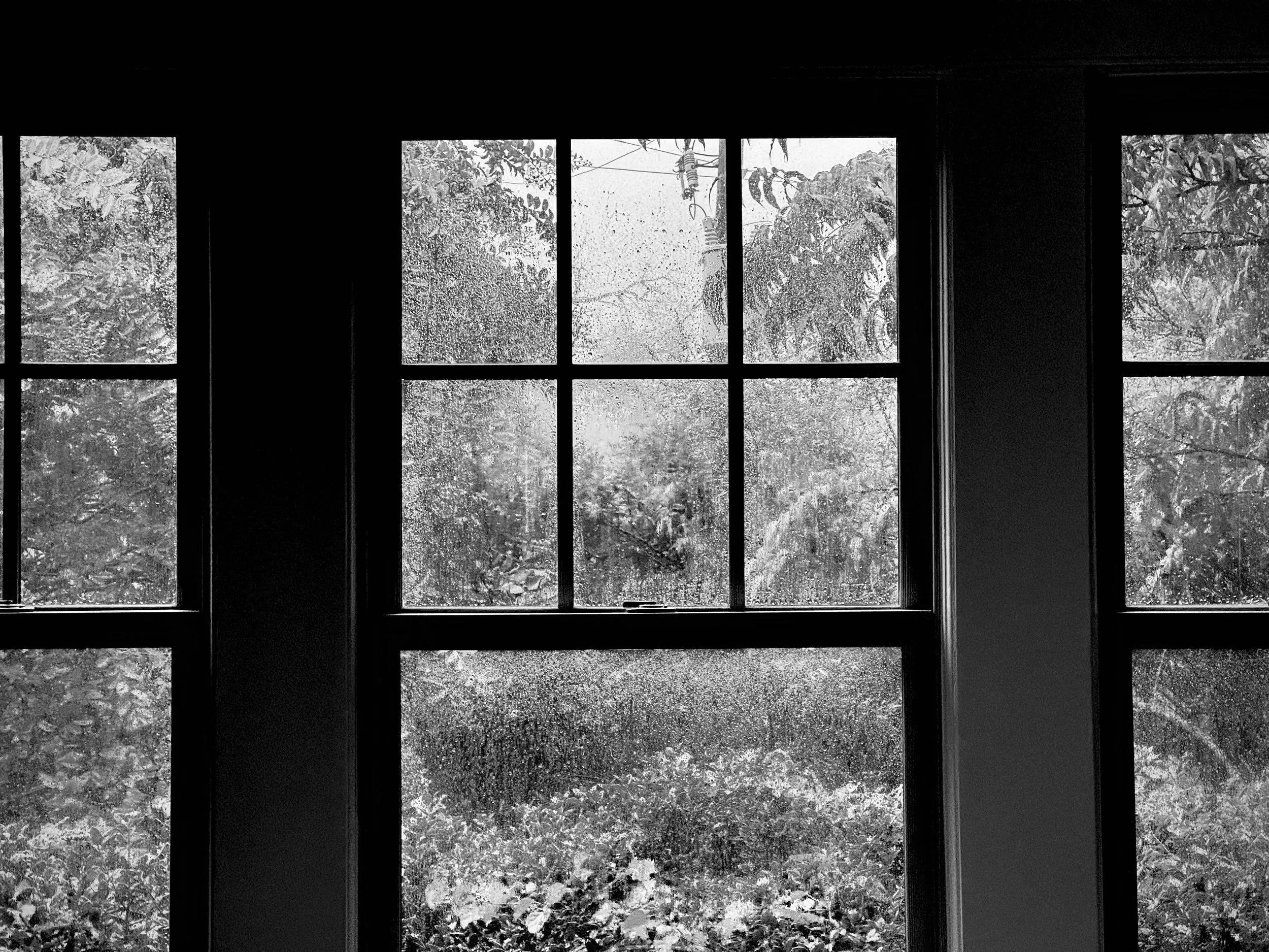 IMG_5952.jpeg