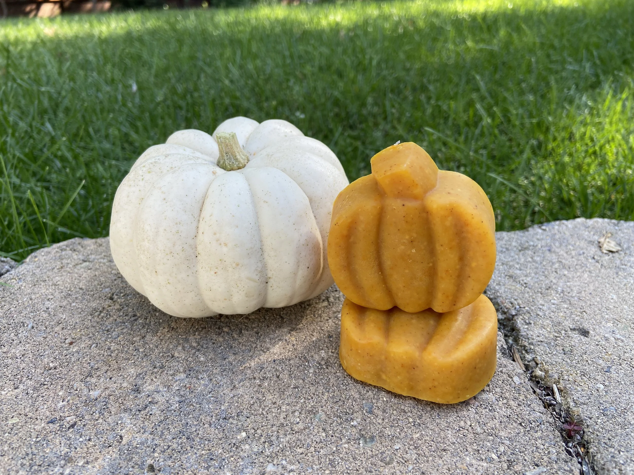 Fall Pumpkin Bundle