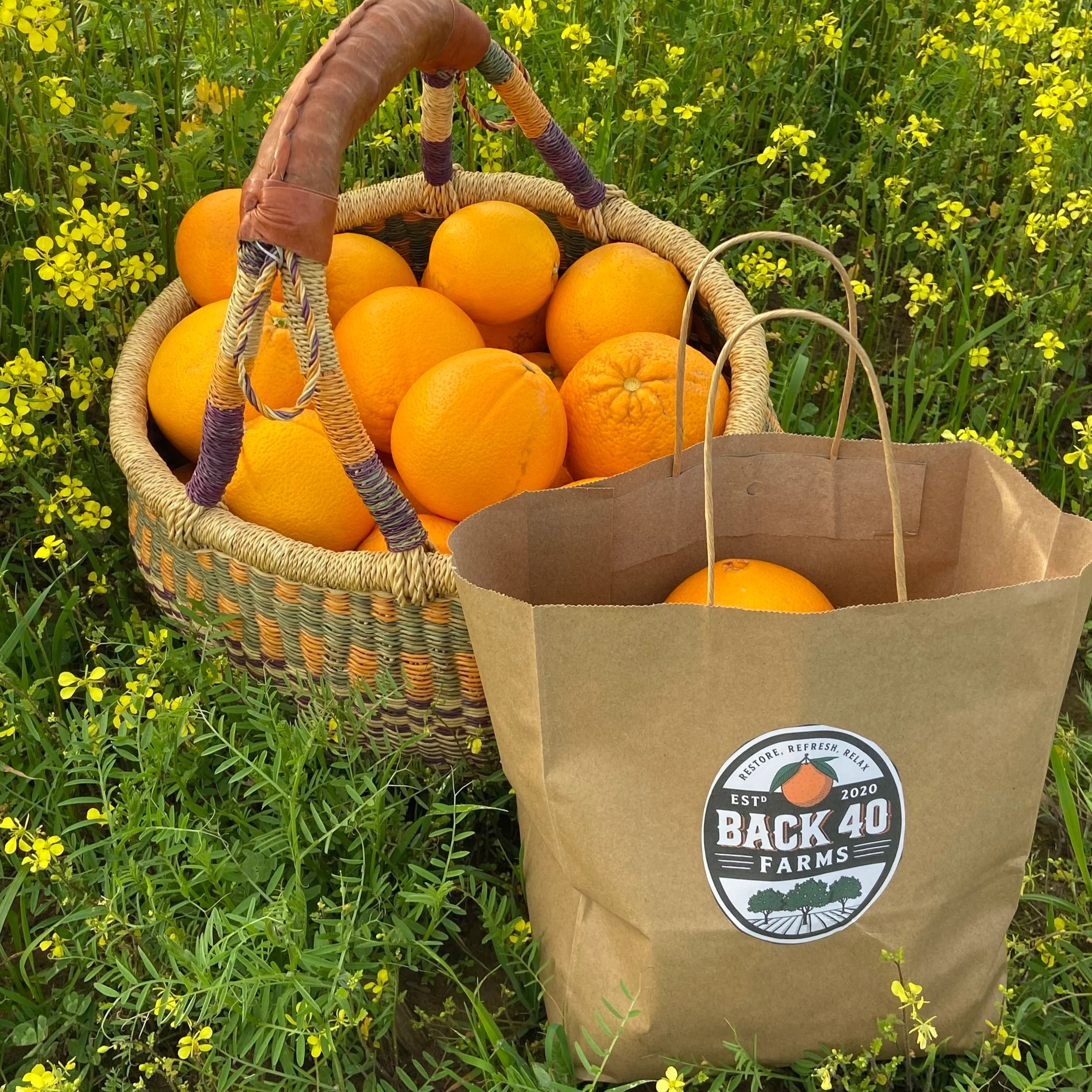 beautiful basket of oranges amidst yellow mustard field