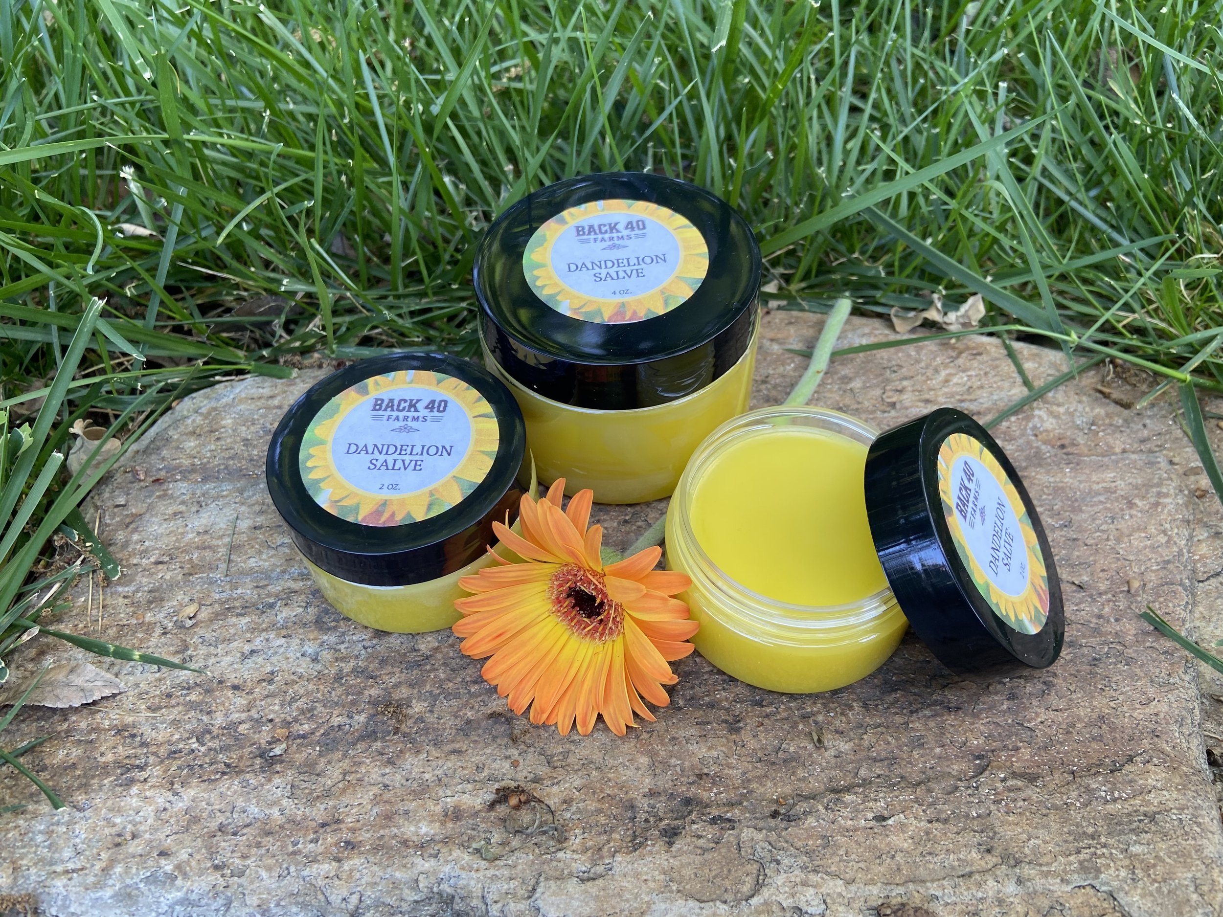 Dandelion Salve