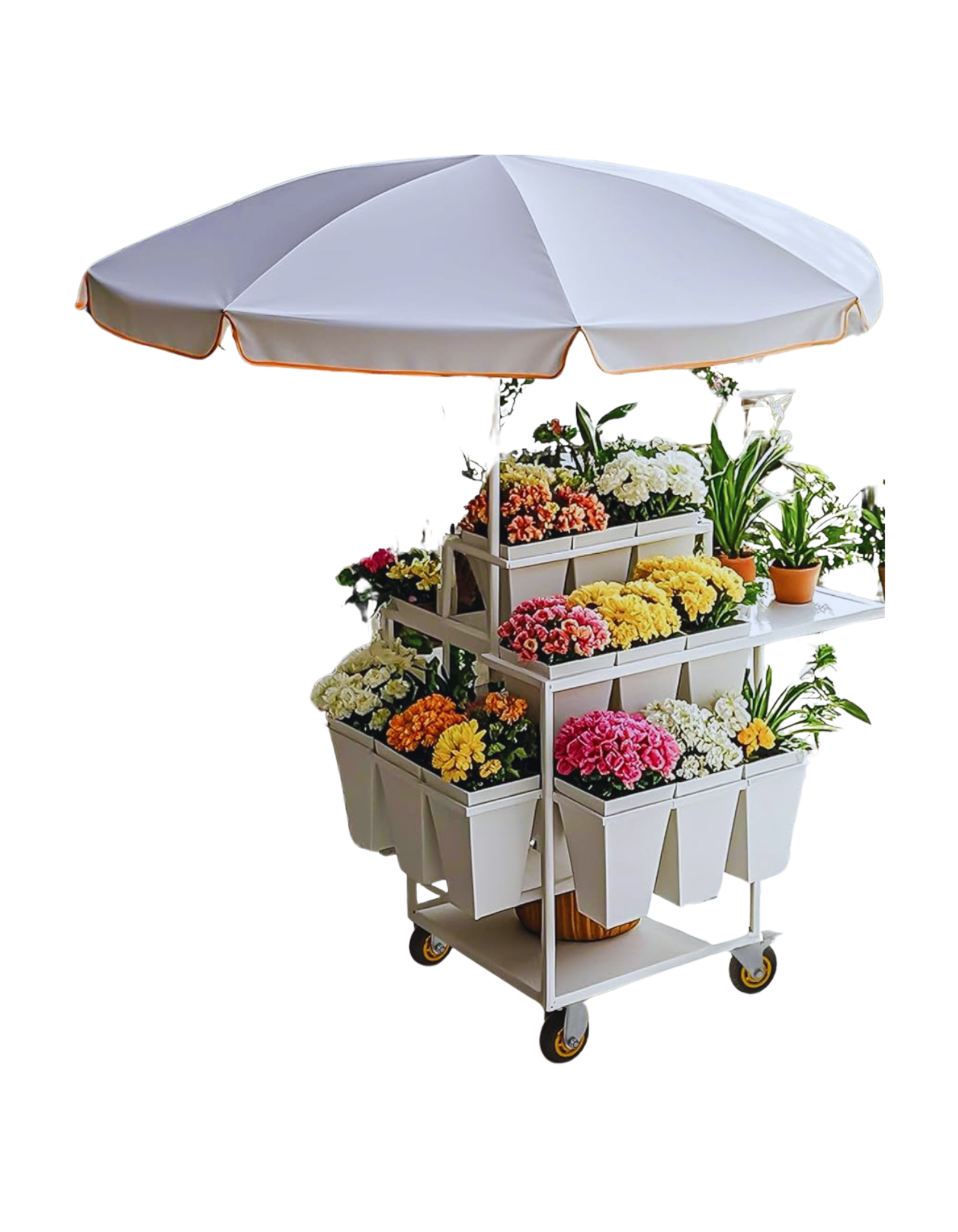 Untitled design (13).png