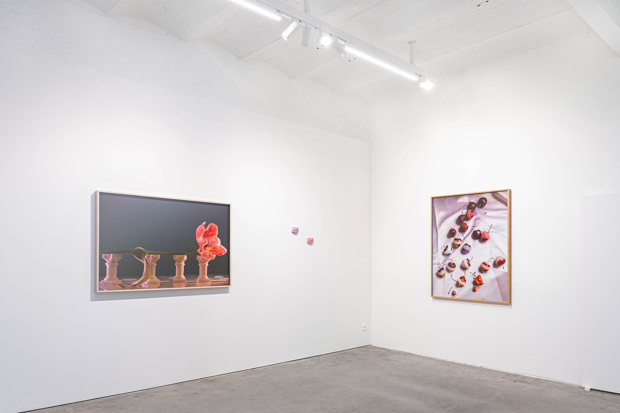 Arvida-Bystrom-Wink-PLUS-ONE-Projects-Antwerp-Gallery-Exhibition-Space-Solo-Exhibtion-2025_0012_Layer-4.png