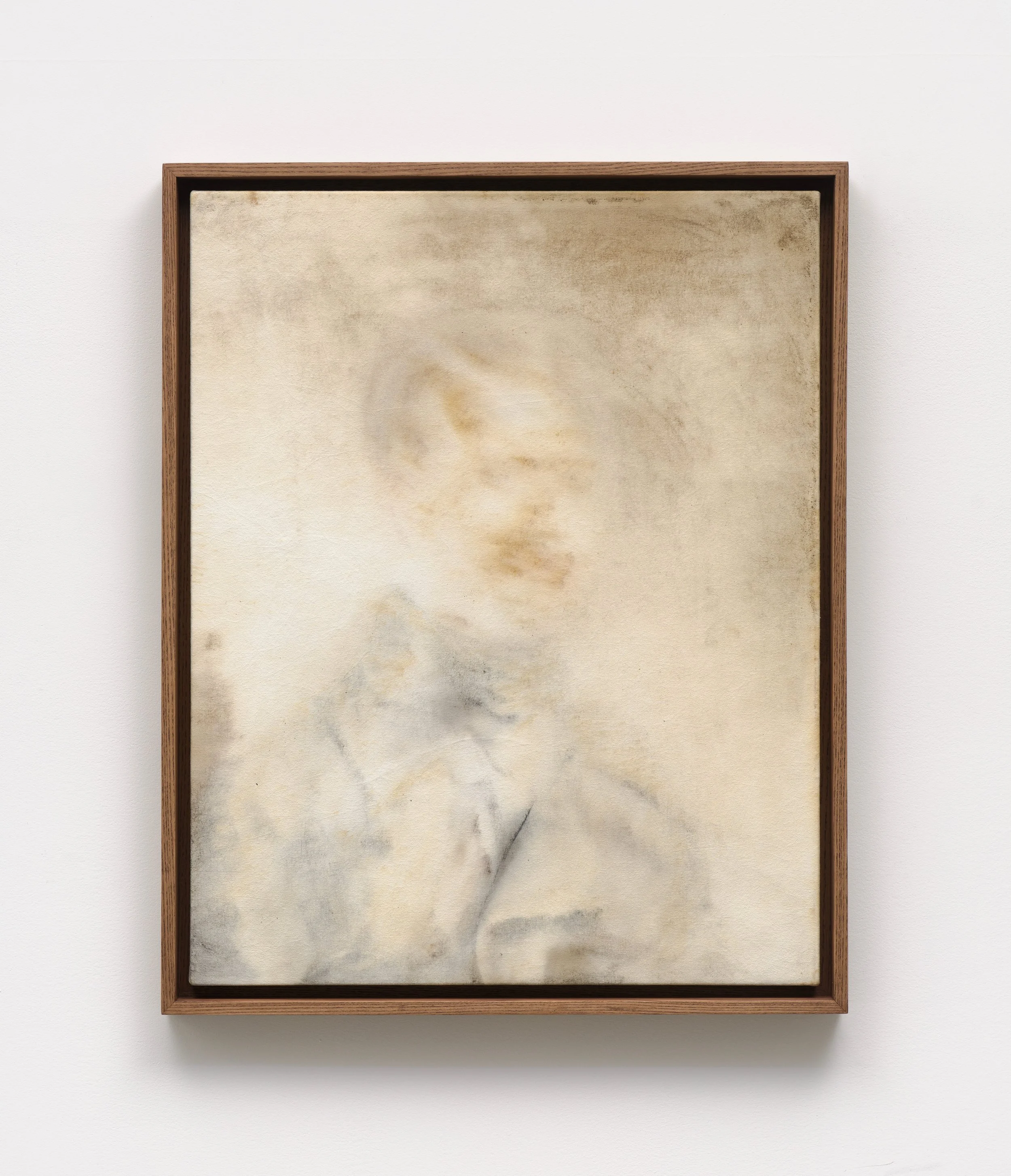 Daan Couzijn, Portrait of a Gentleman, 2026, Pigments of antique oil painting on textile, 57x46cm - A-Lounge Contemporary PLUS-ONE Projects.jpg