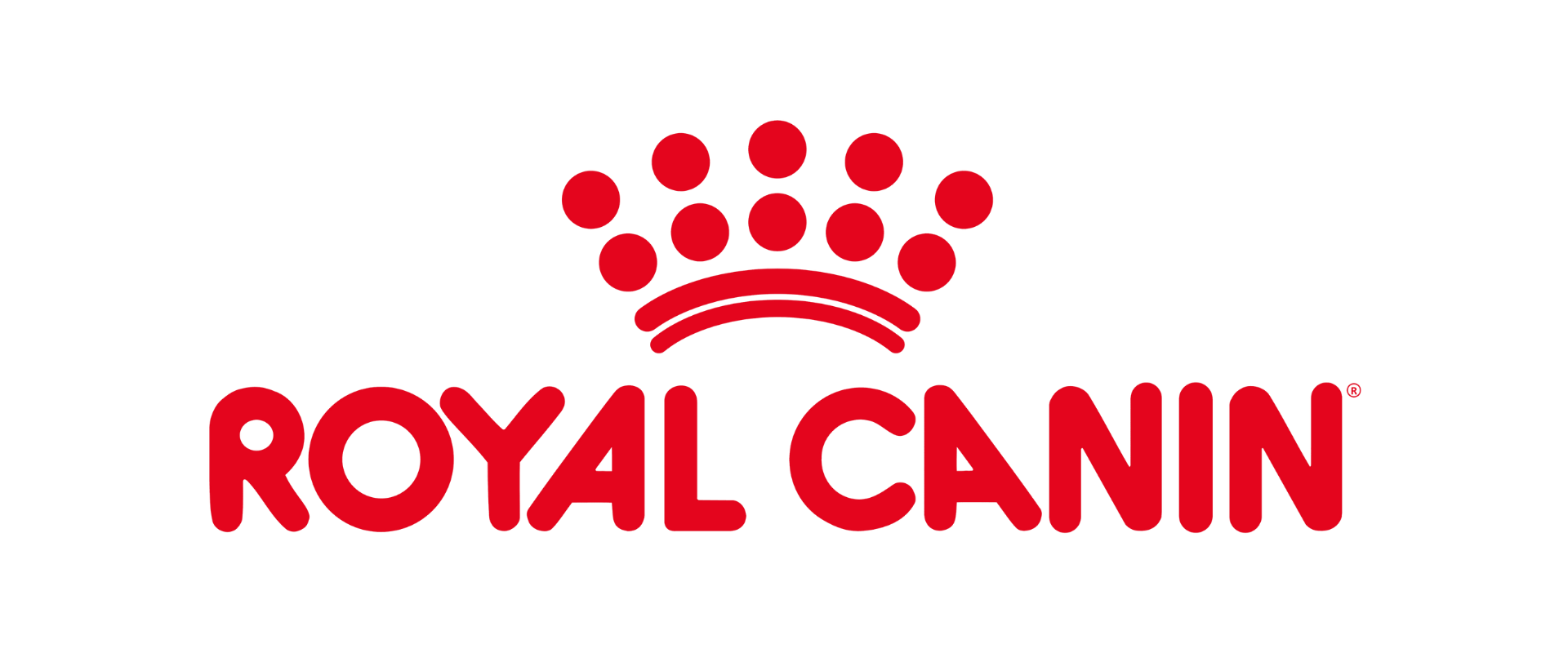 11.png