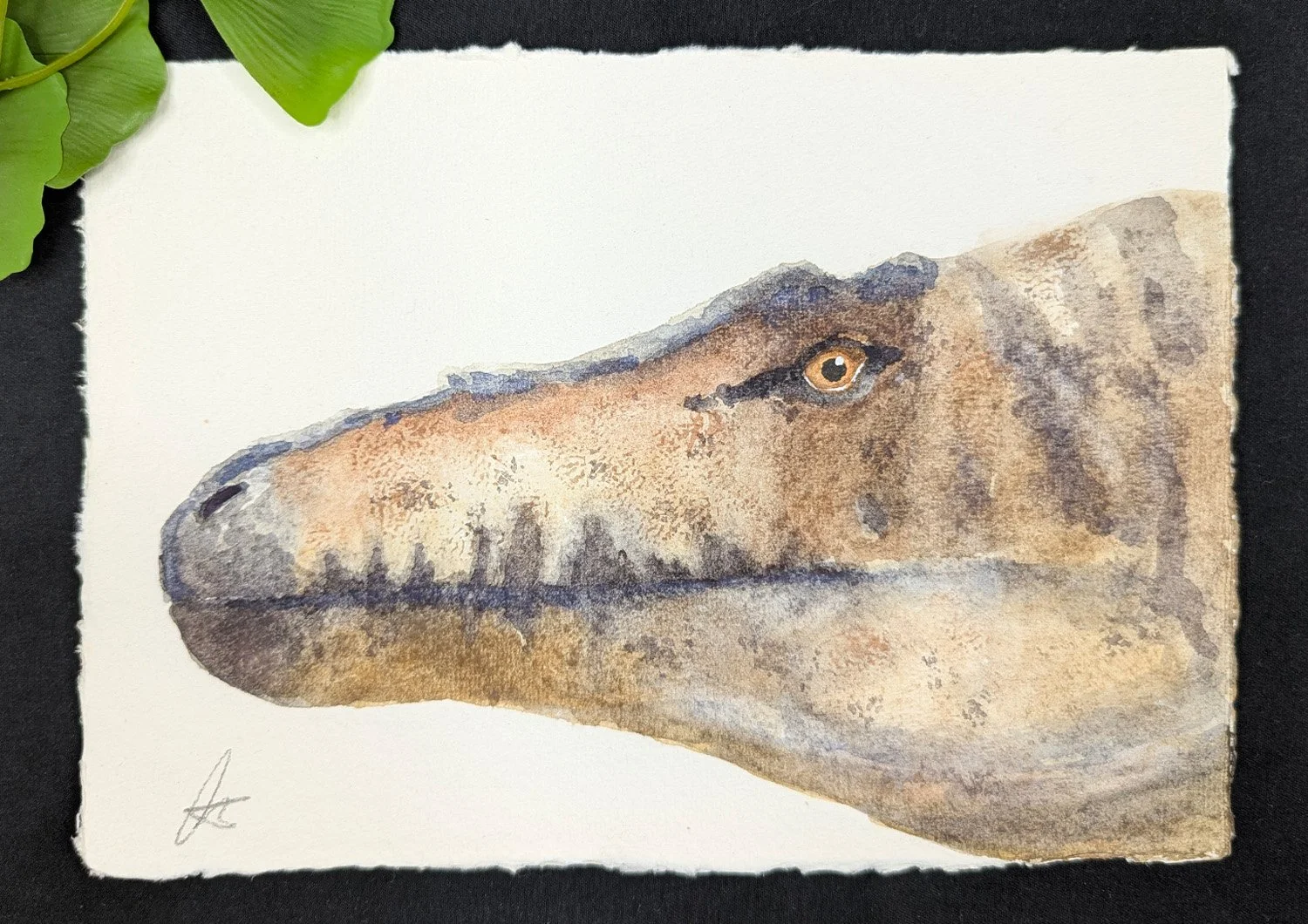 juvi trex.jpg