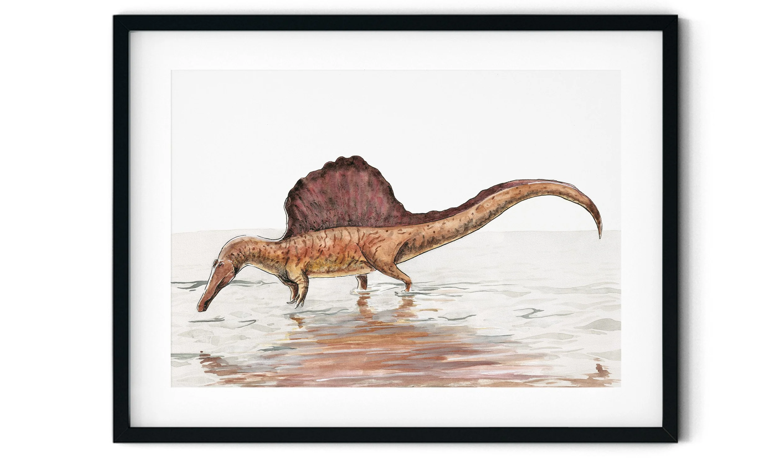 Framed watercolor painting of a Spinosaurus wading through water