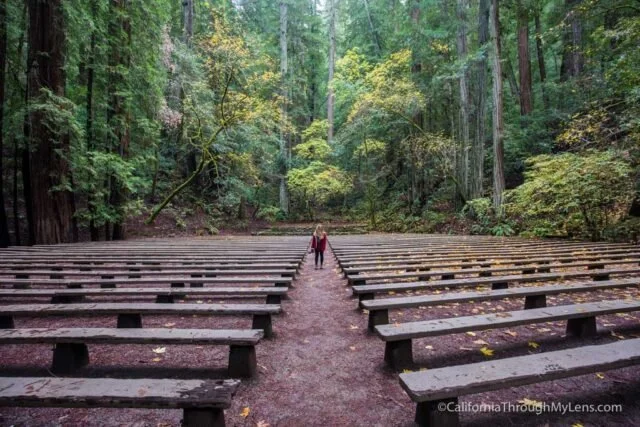 Jimmy Murphy and Suzuki Cady