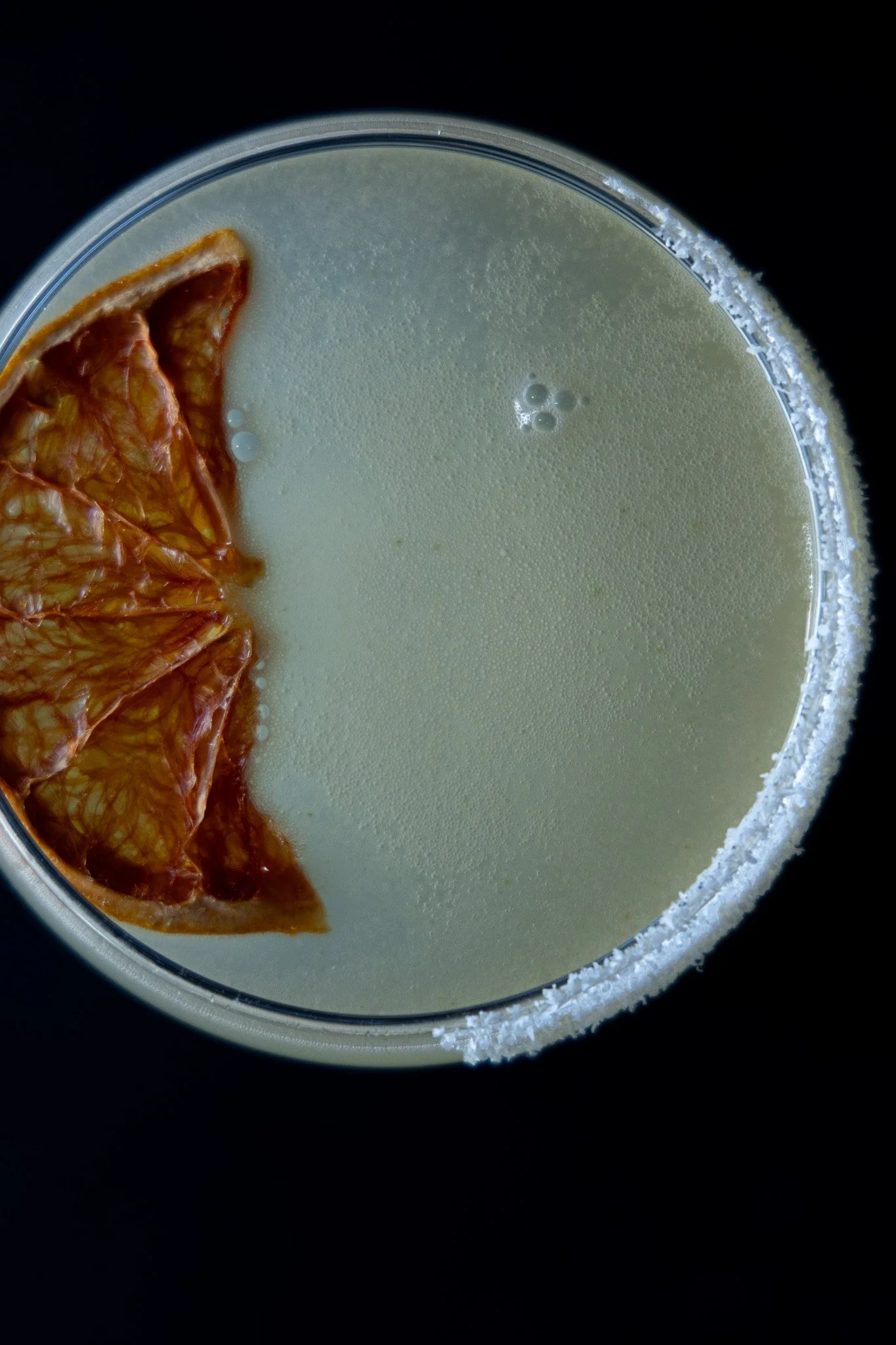 A close-up top view of a cocktail glass with a salted rim, filled with a pale, frothy drink, garnished with a dried citrus slice.