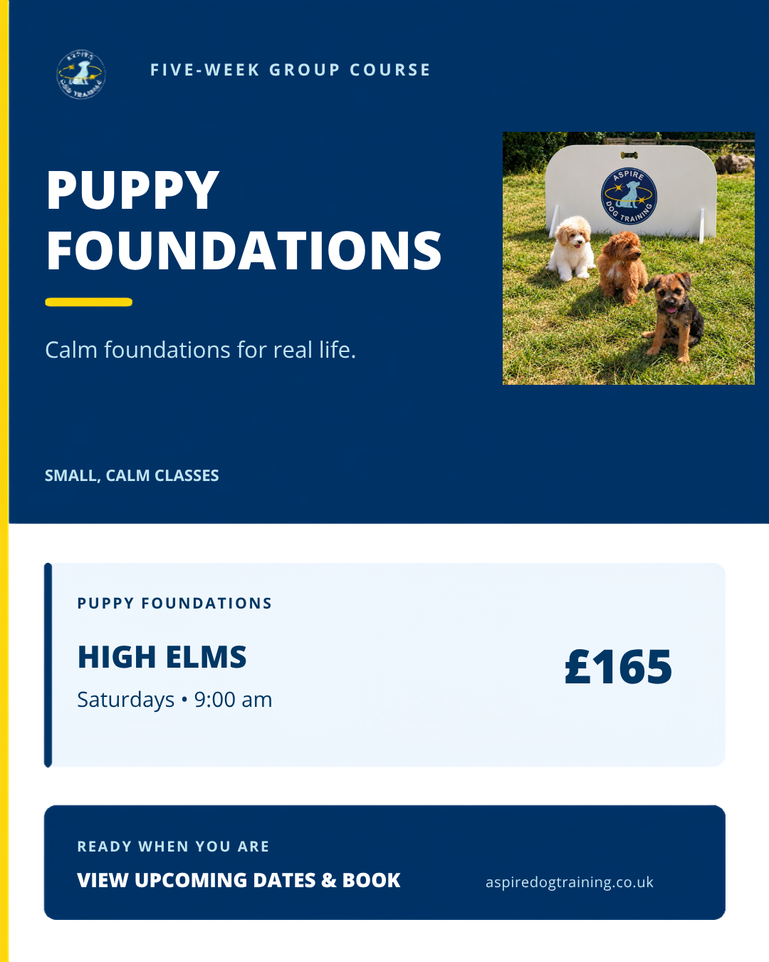 Puppy Foundations at High Elms  - Saturday 9:00 x 5 week course (10/10/26 - 07/11/26)