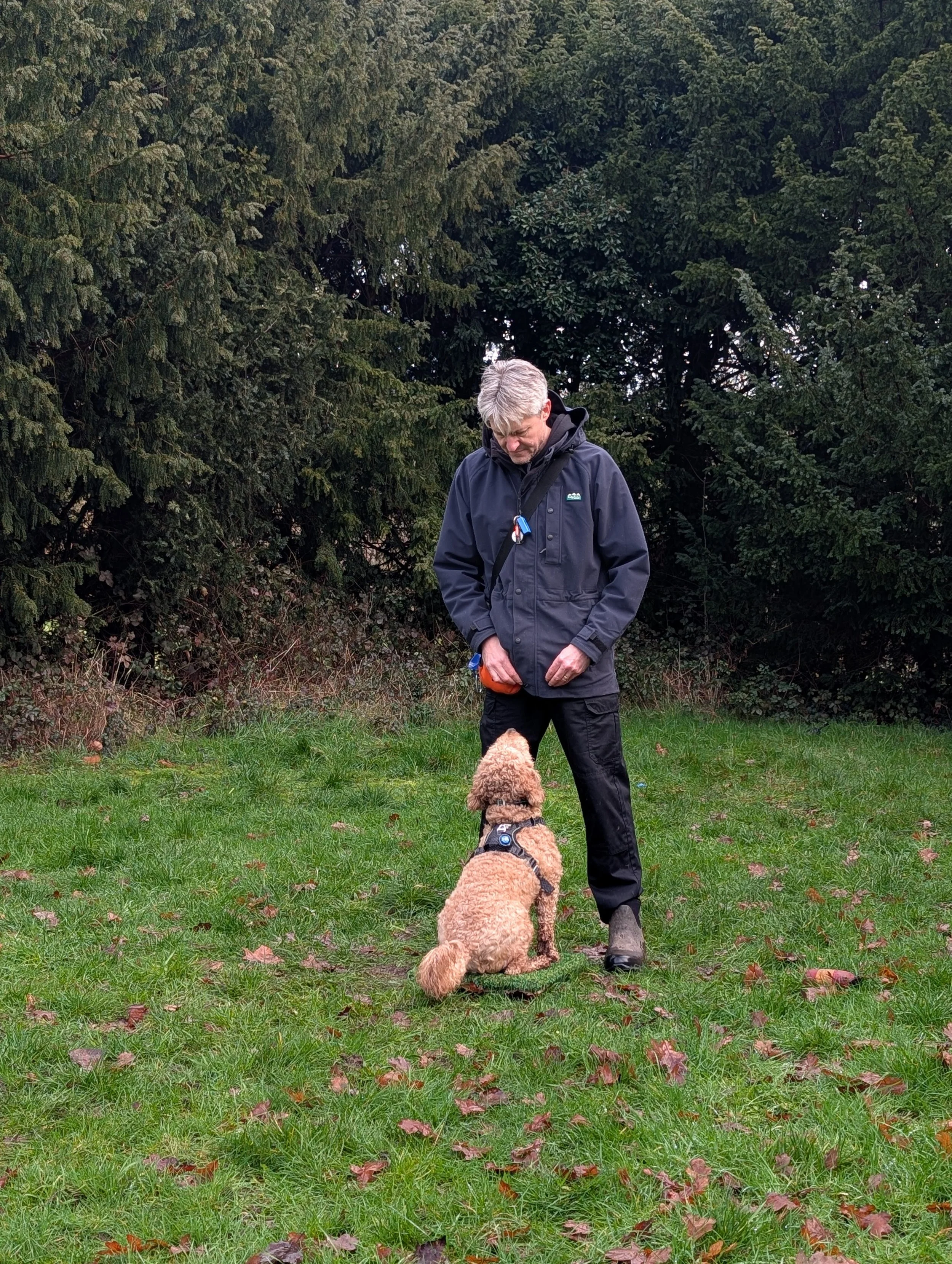 A dog trainer in a dark jacket standing outdoors in front of green trees, with a tan, golden Cockapoo dog sitting attentively on the grass.