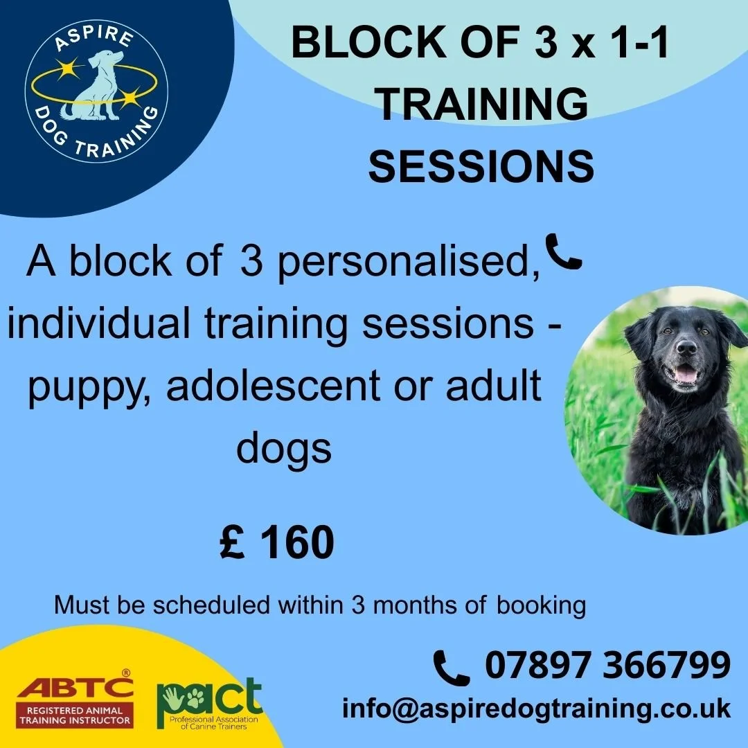 Block of 3 x 1:1 Training Sessions
