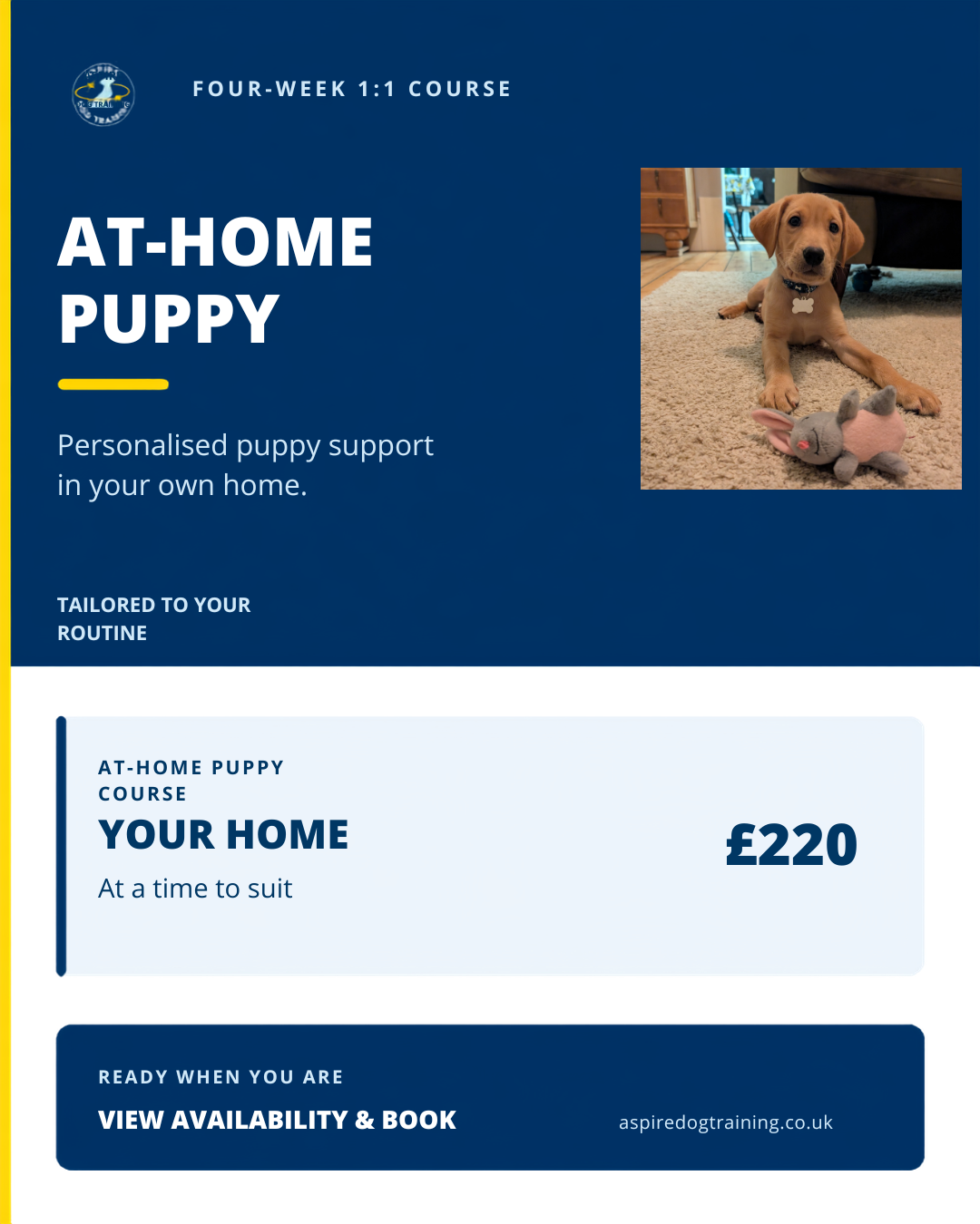 The At Home Puppy Course