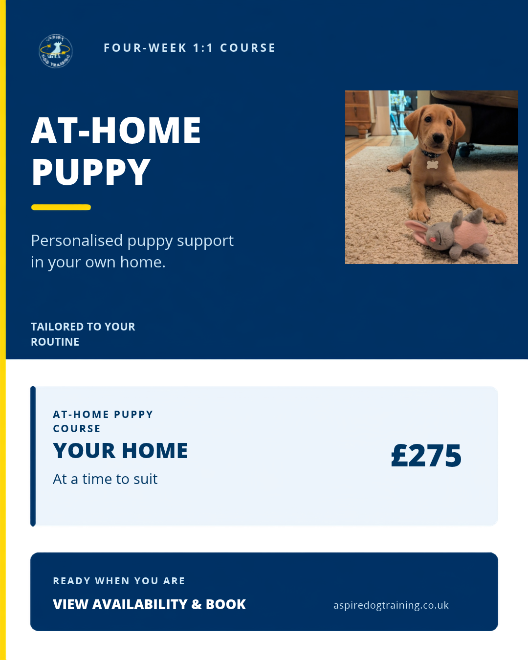 The At Home Puppy Course