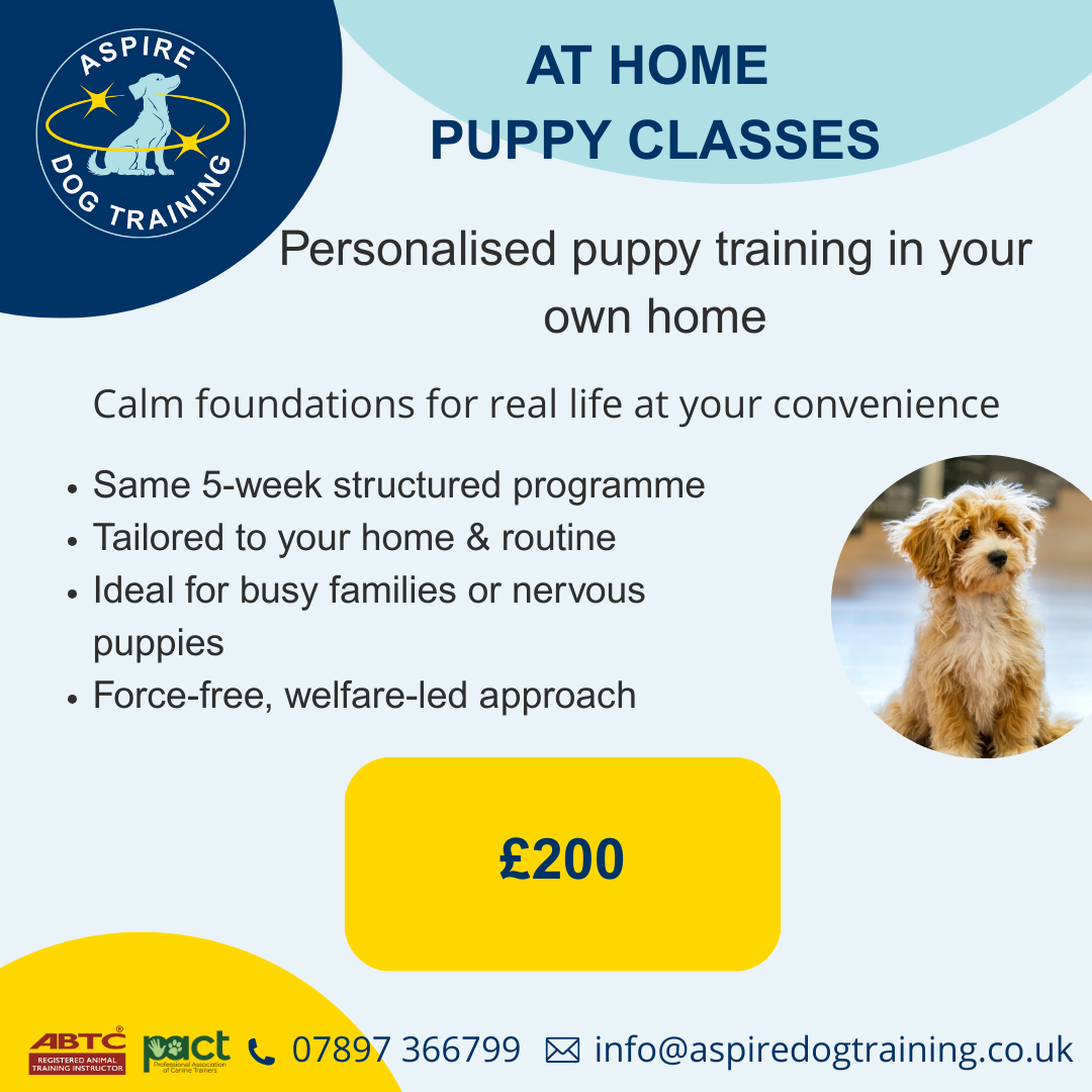 The At Home Puppy Course