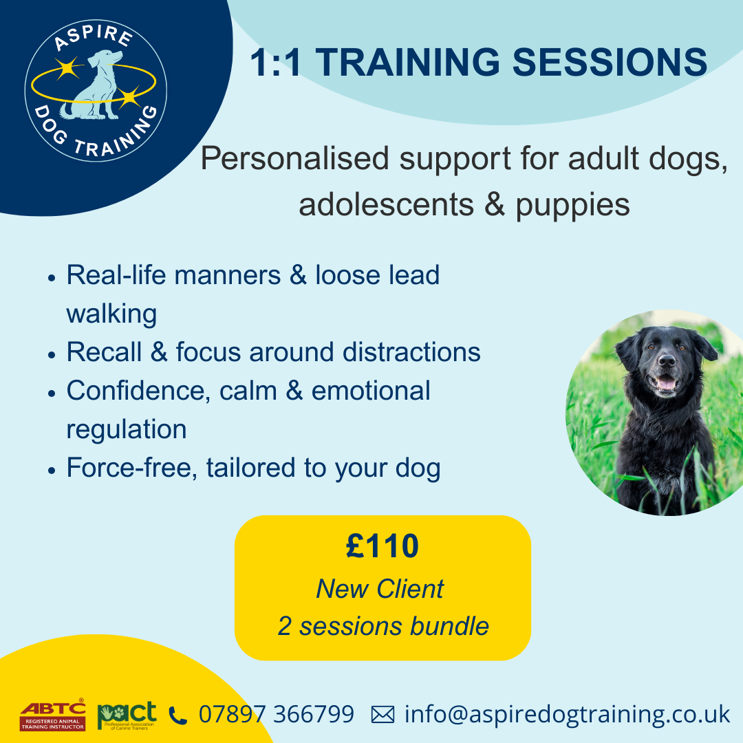 1:1 *NEW clients only* Initial Consultation and Follow Up Session Bundle including Training Plan