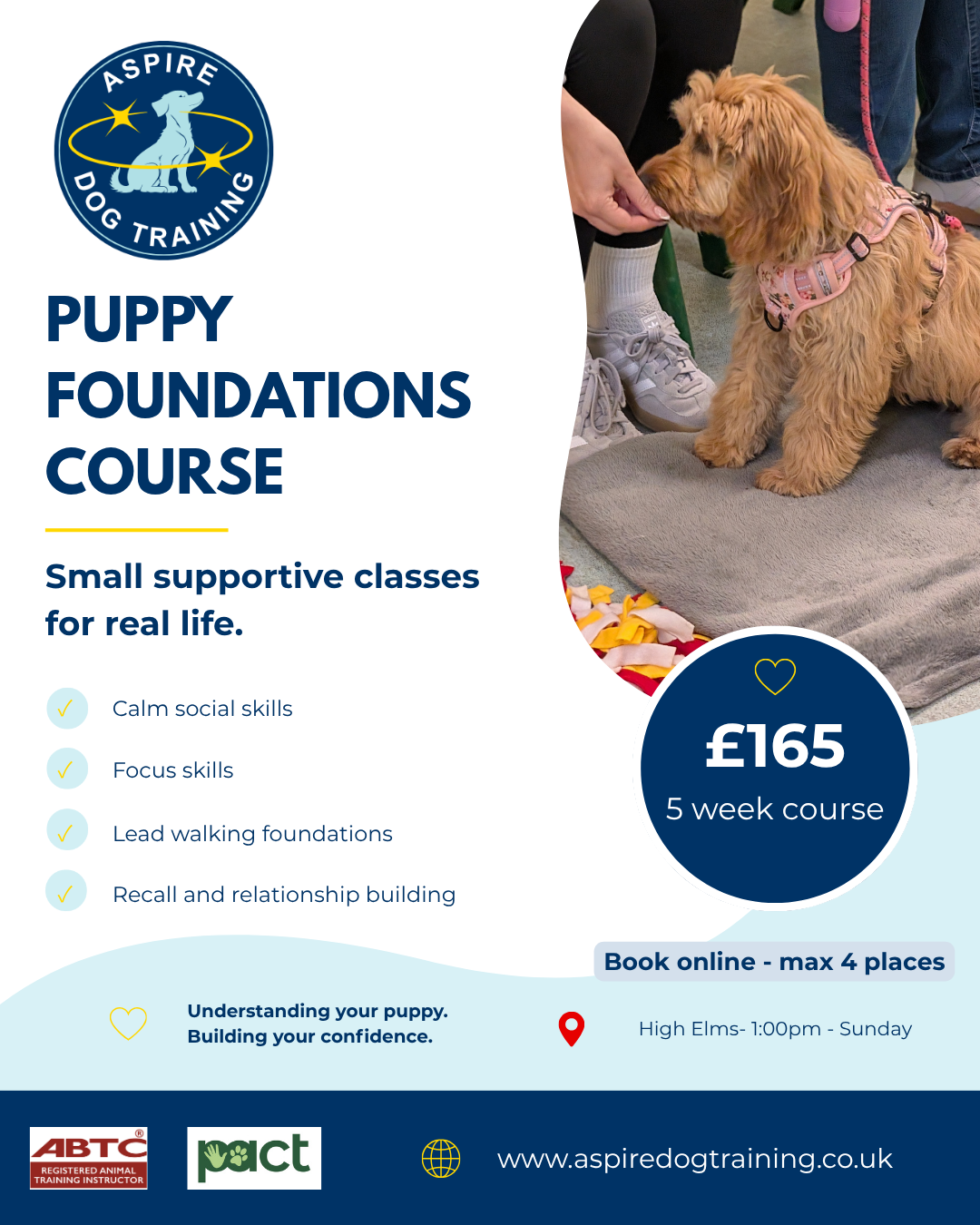 Puppy Foundations at High Elms  - Sunday 13:00  x 5 week course (21/6/26 - 19/7/26)