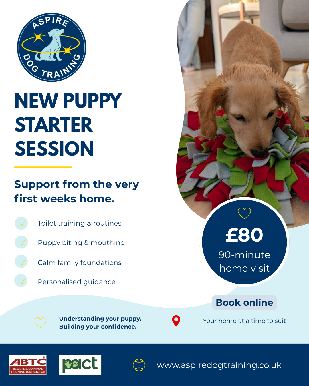 New Puppy Starter Session