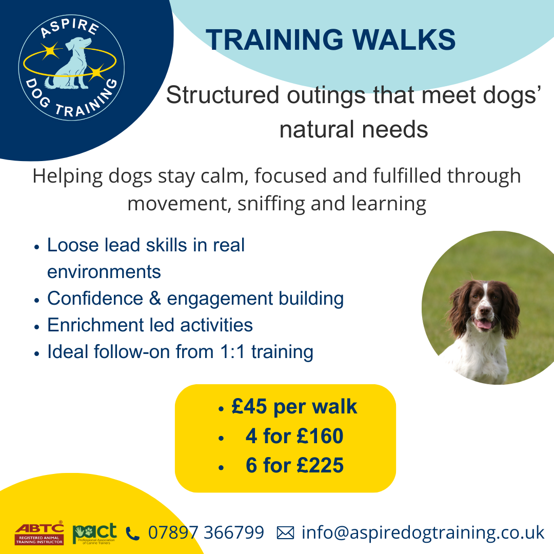 Training Walk x 6 Sessions