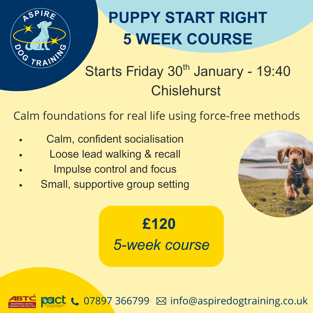January Puppy Class Friday 19:40 x 5 week course (30/01/26 - 27/02/26)