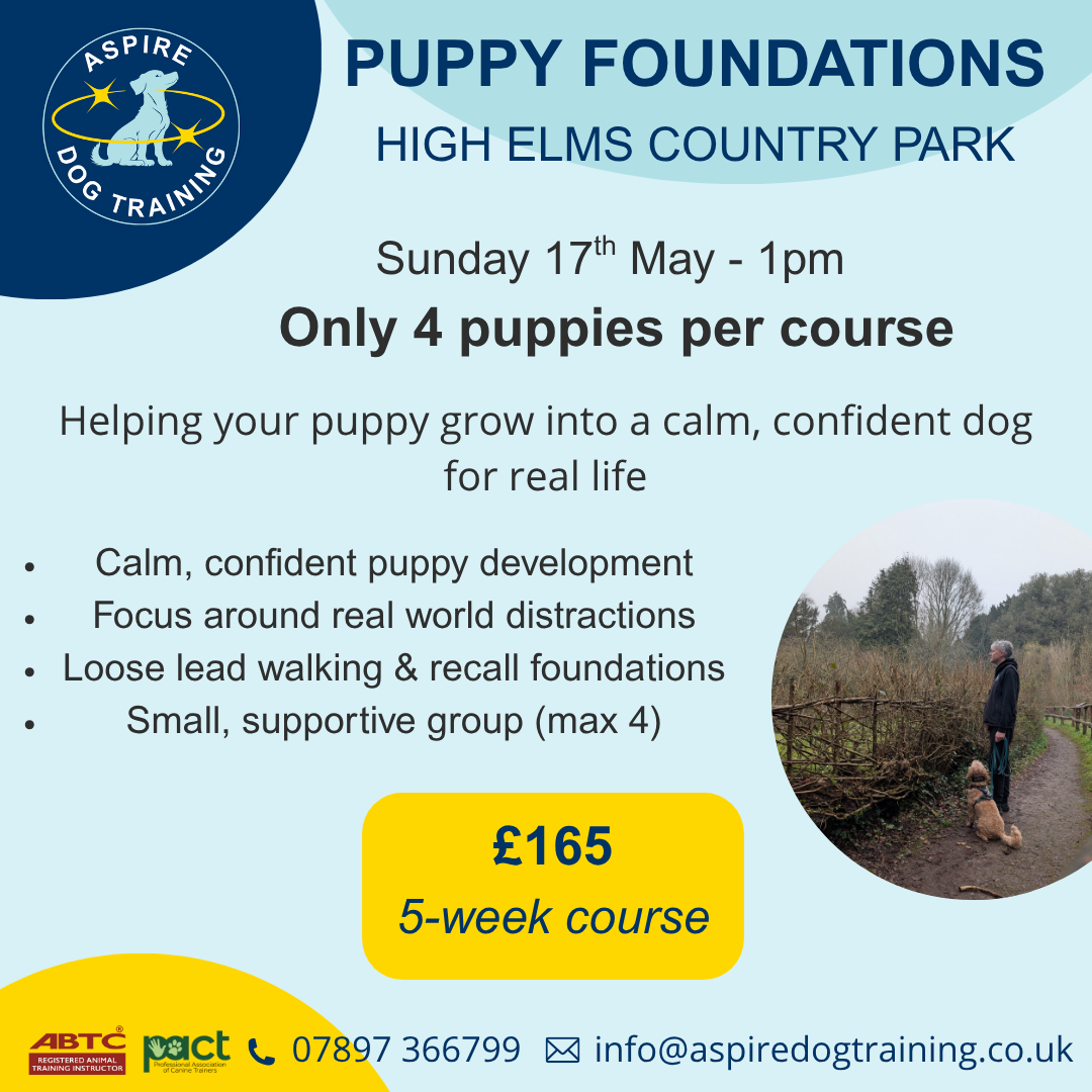 Hgh Elms Puppy EDITABLE.png