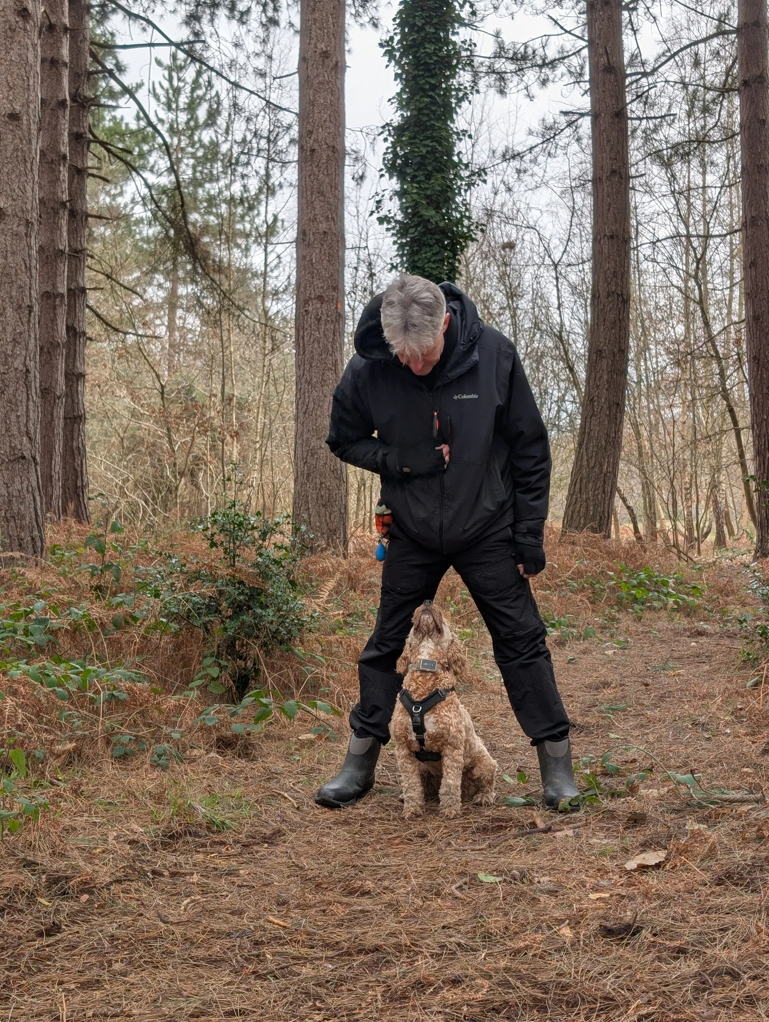A man wearing black outdoor clothing and rubber boots standing in a forest with his head bowed and a small dog sitting between his legs, looking up at him. The forest has tall trees and dry foliage on the ground.