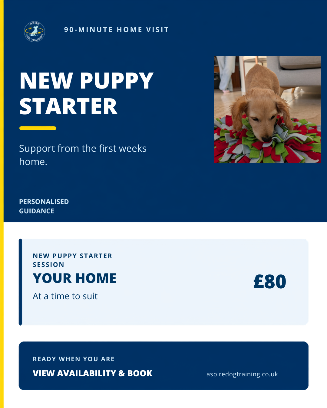 New Puppy Starter Session