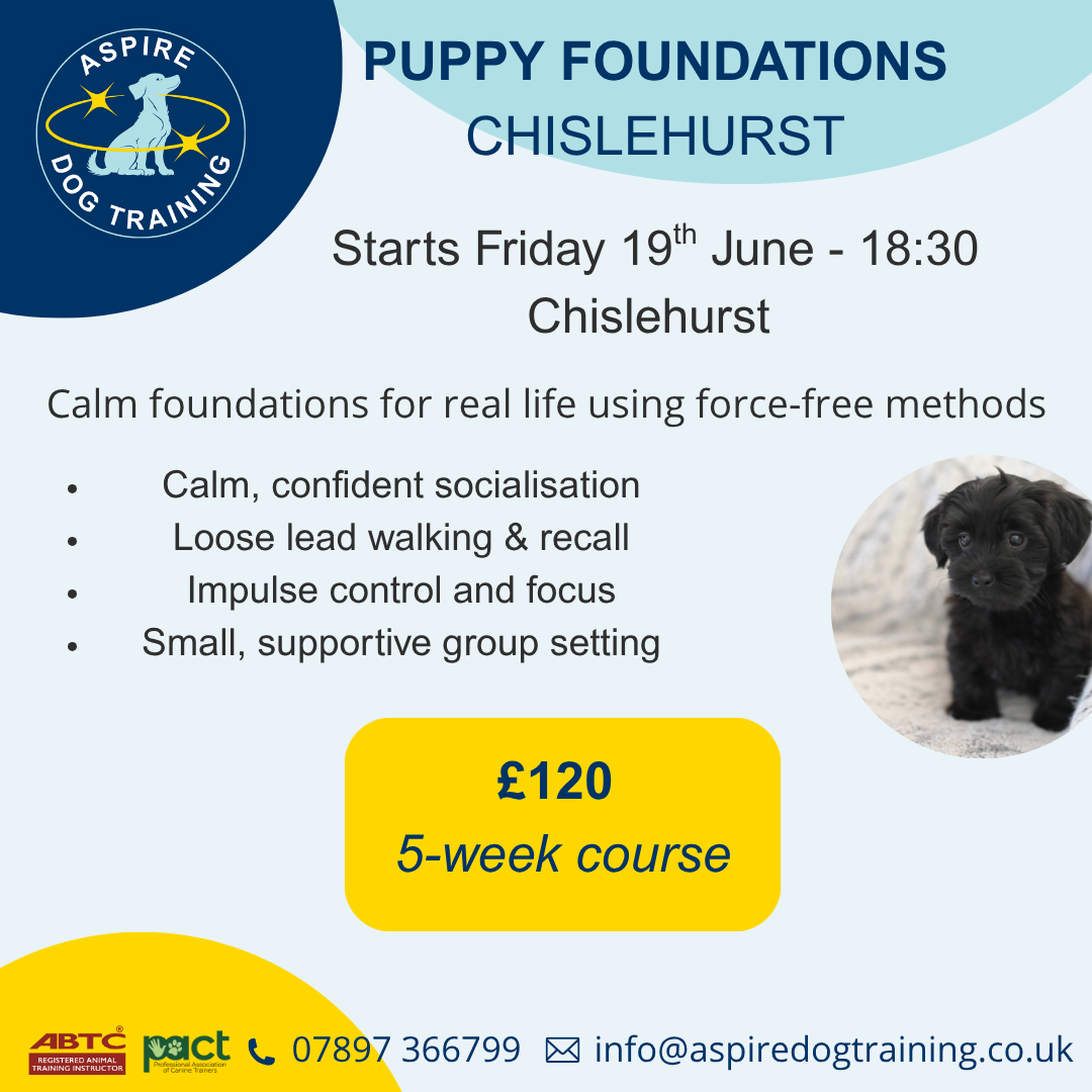 Copy of Puppy Class EDITABLE.png