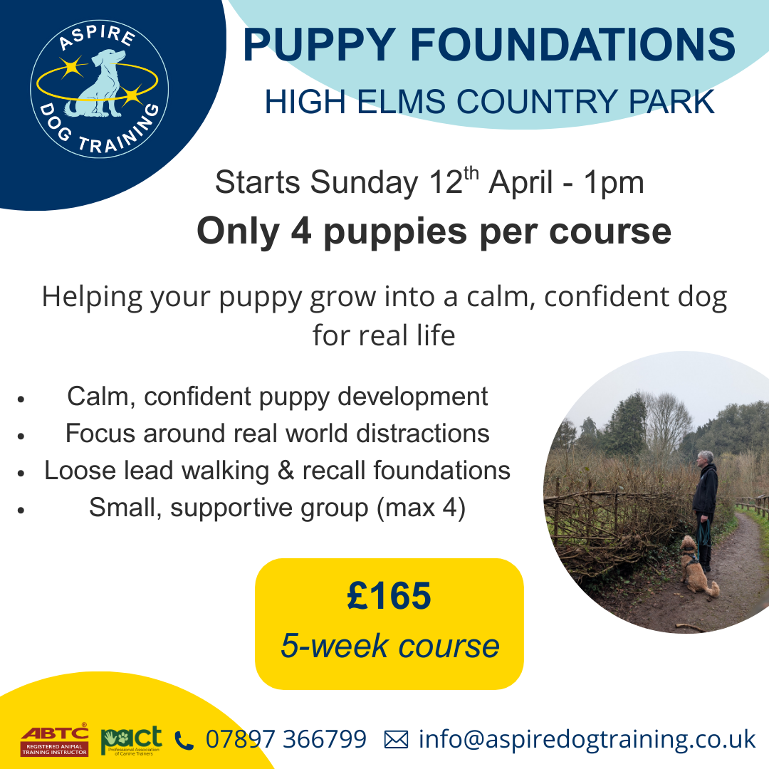 Copy of Puppy Class EDITABLE.png