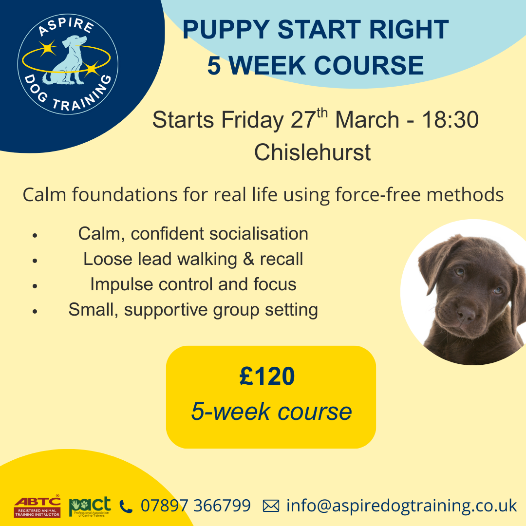 March Puppy Class Friday 18:30 x 5 week course (27/03/26 - 01/05/26)