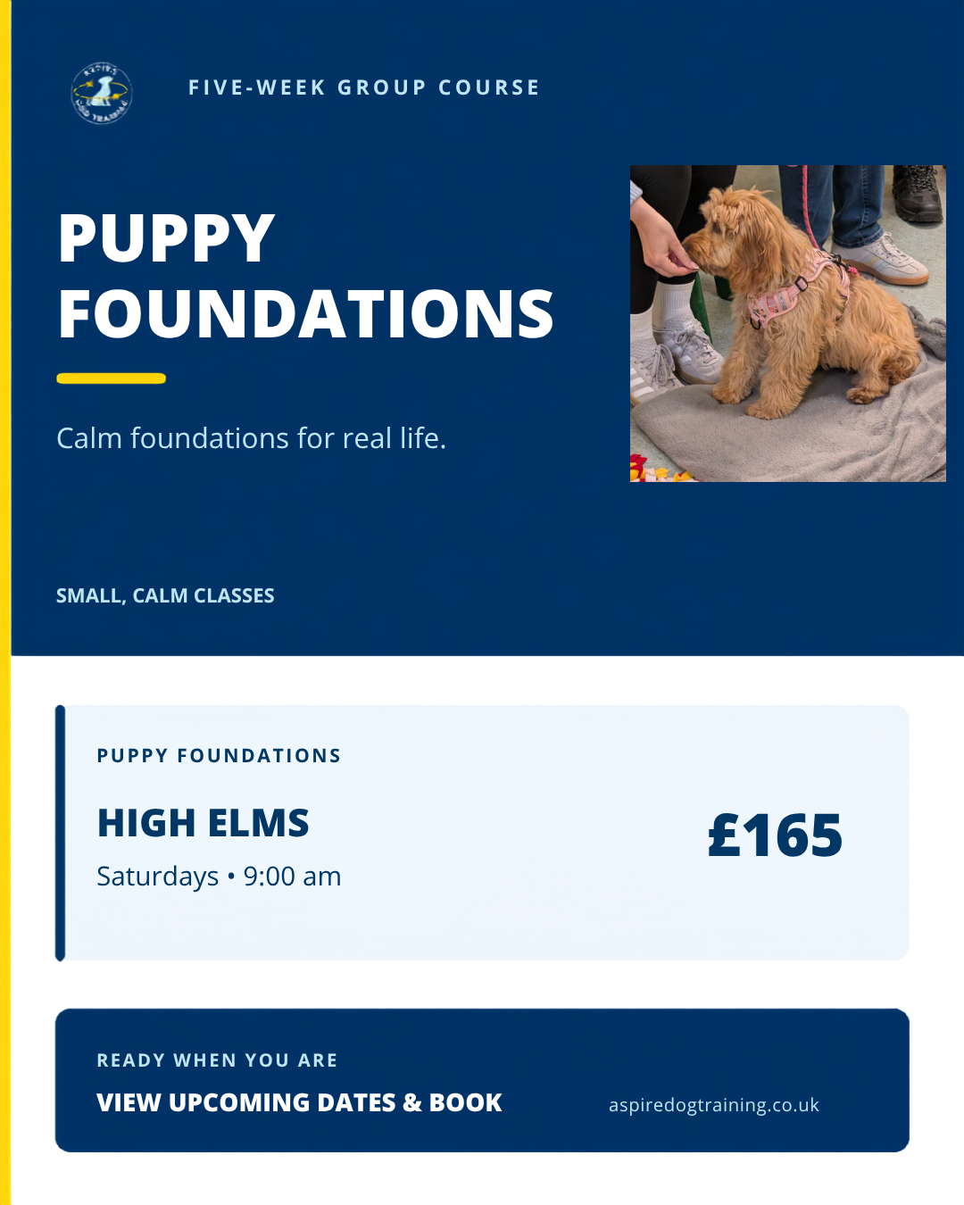 Puppy Foundations at High Elms  - Saturday 9:00 x 5 week course (10/10/26 - 07/11/26)