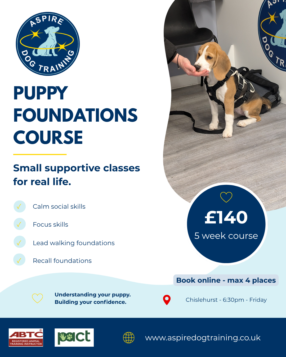 Puppy Foundations at Chislehurst - Friday 18:30 x 5 week course (04/09/26 - 02/10/26)