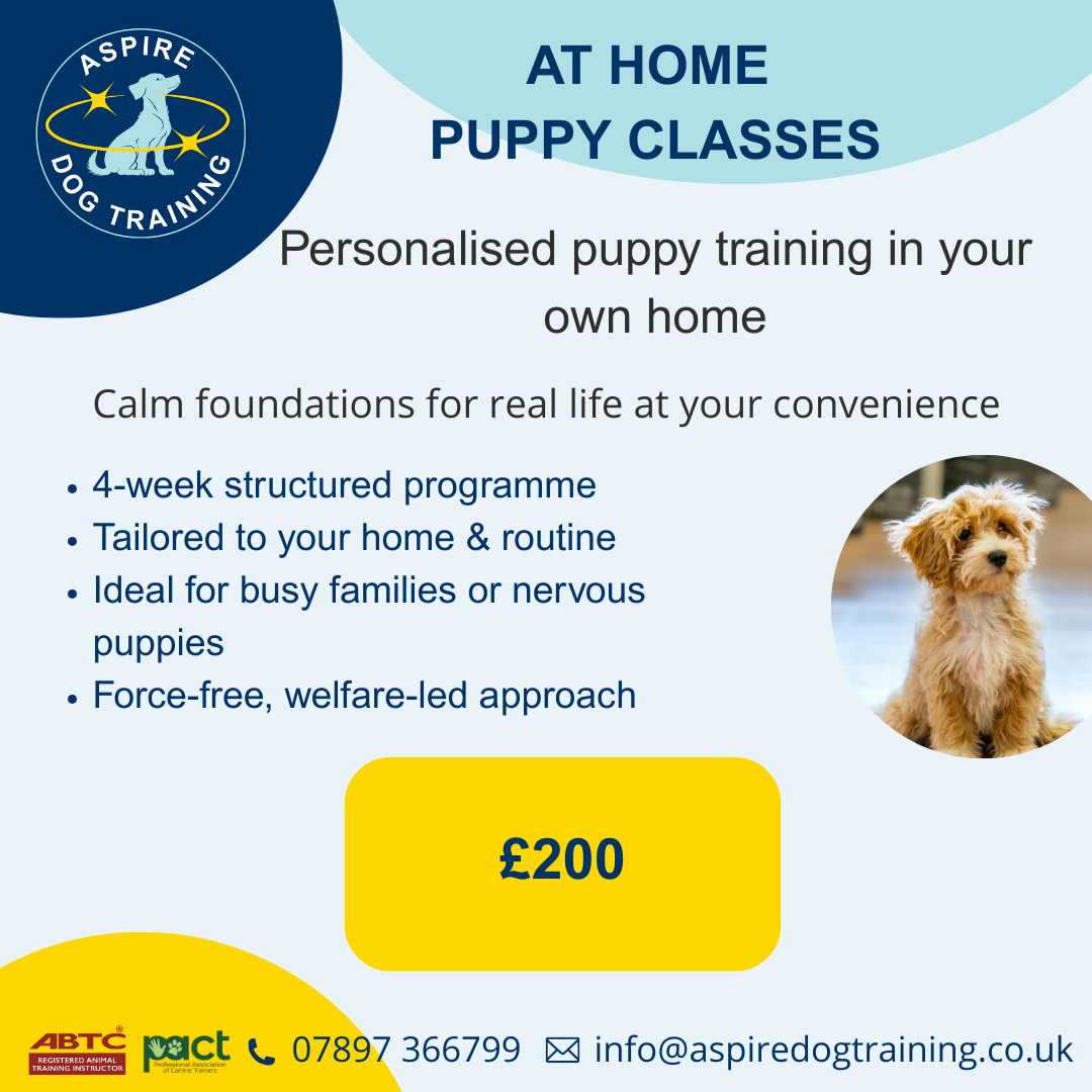 The At Home Puppy Course