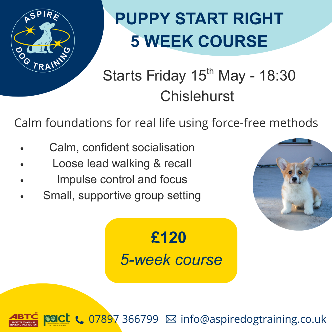 May Puppy Class Friday 18:30 x 5 week course (15/05/26 - 12/06/26)