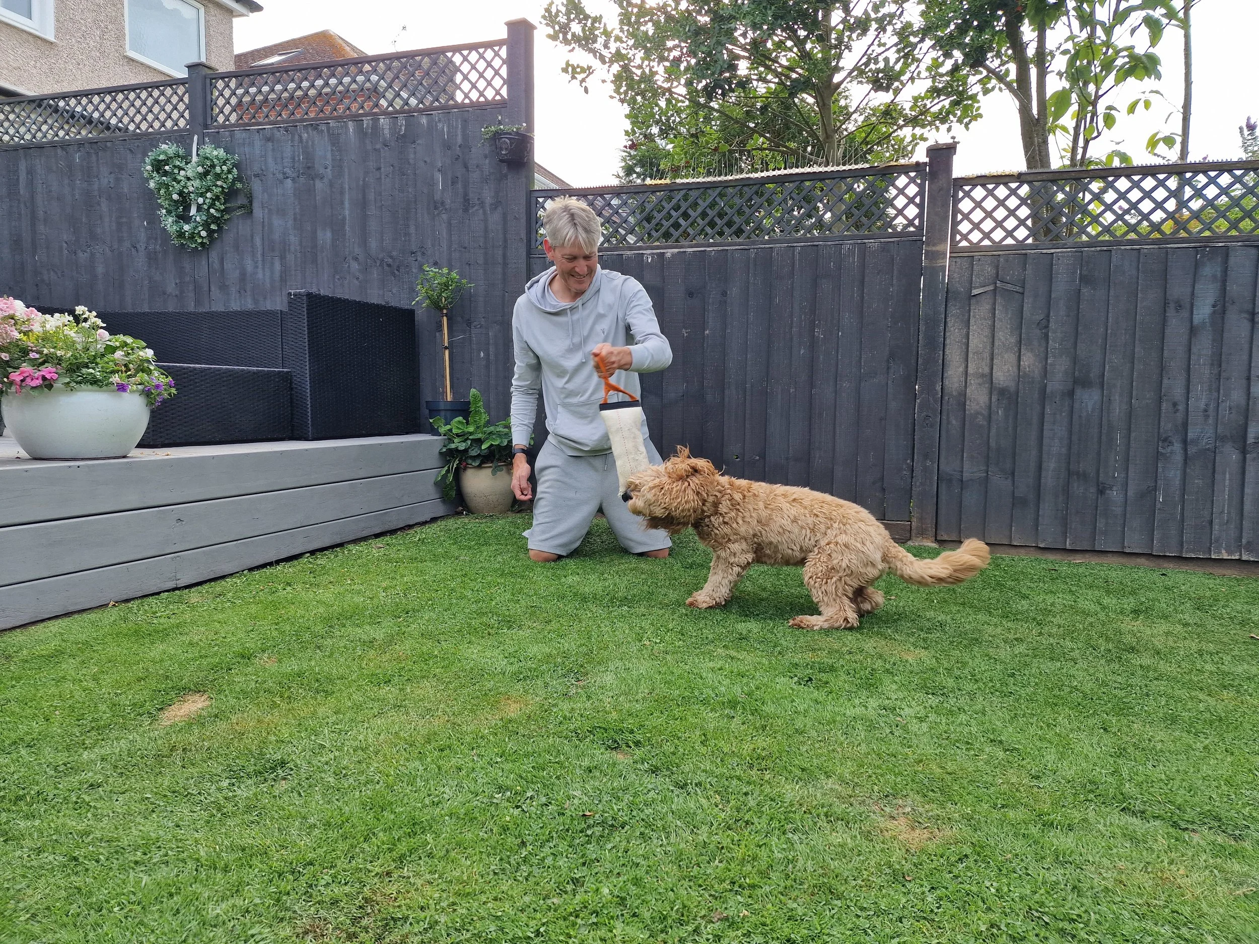 Person playing with a dog in a backyard with a gray wooden fence and potted plants