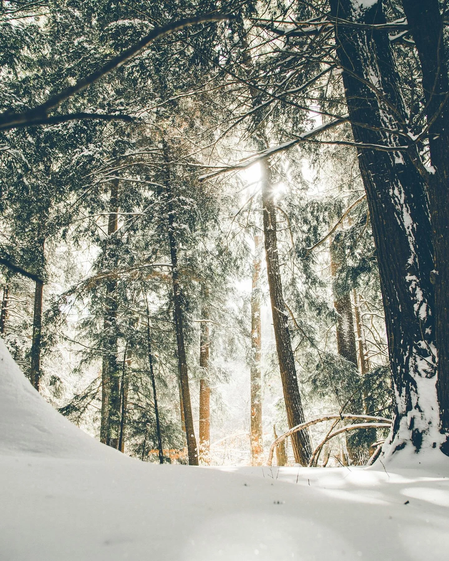 Snow day in Portland! Love the quiet, and rest days. 

Be careful out there shoveling snow though&mdash; snow shoveling after a winter storm has been shown to increase risk of cardiovascular events (heart attacks, sudden death, etc) in those over 35 