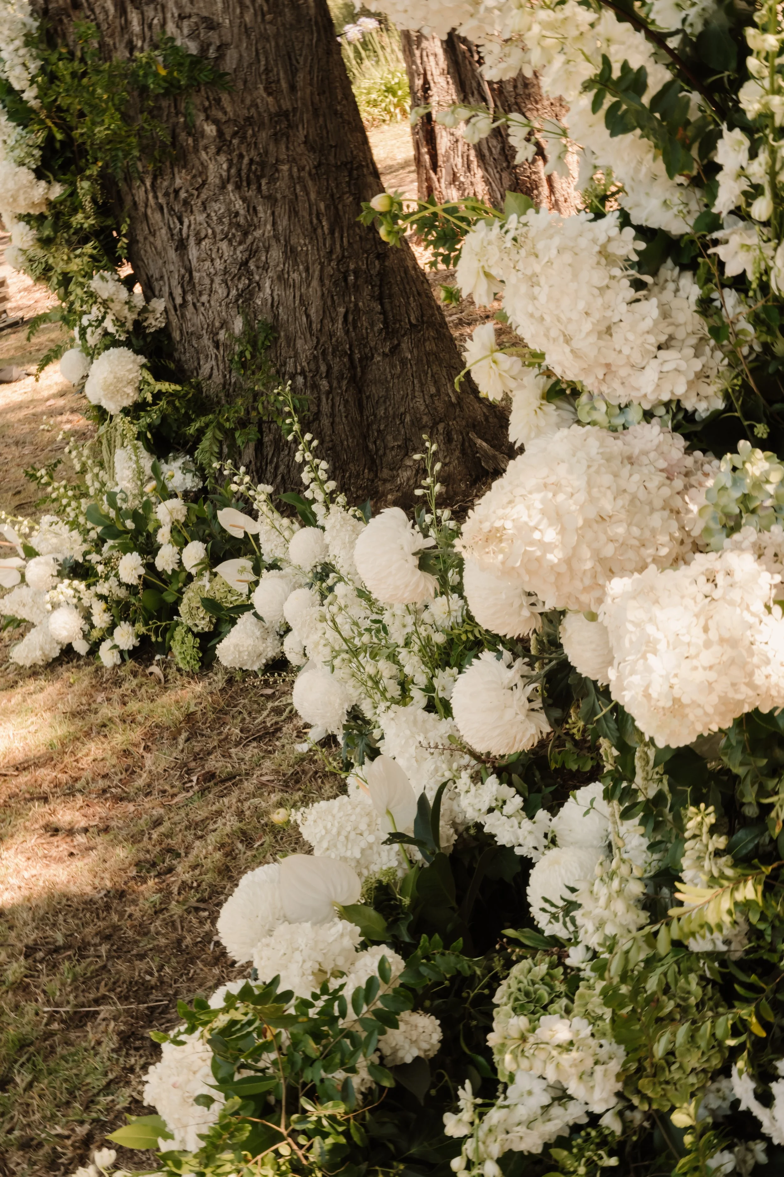 Jess & Ben - Ever After Effect-14.jpg