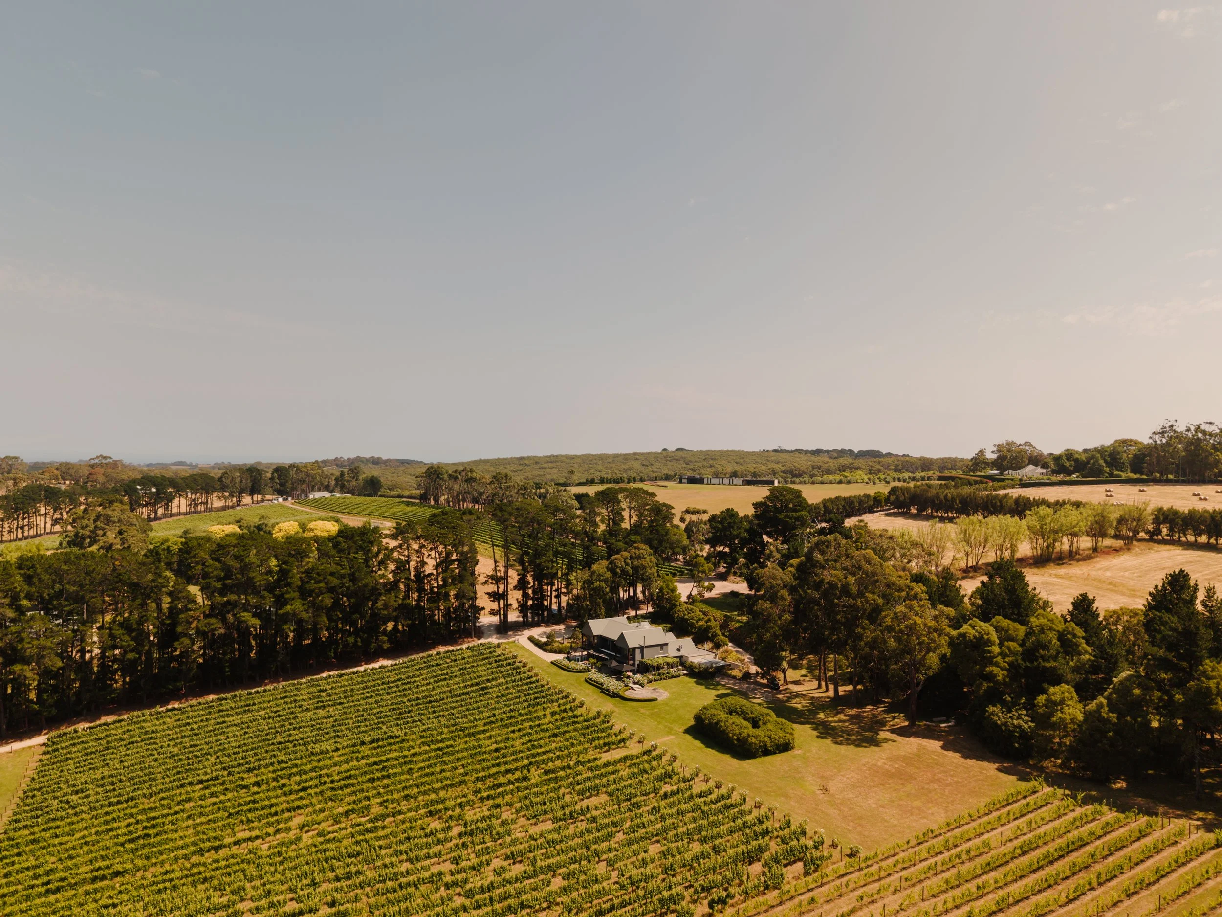 Mantons Creek Estate - Drone Cassandra Catic-6.jpg
