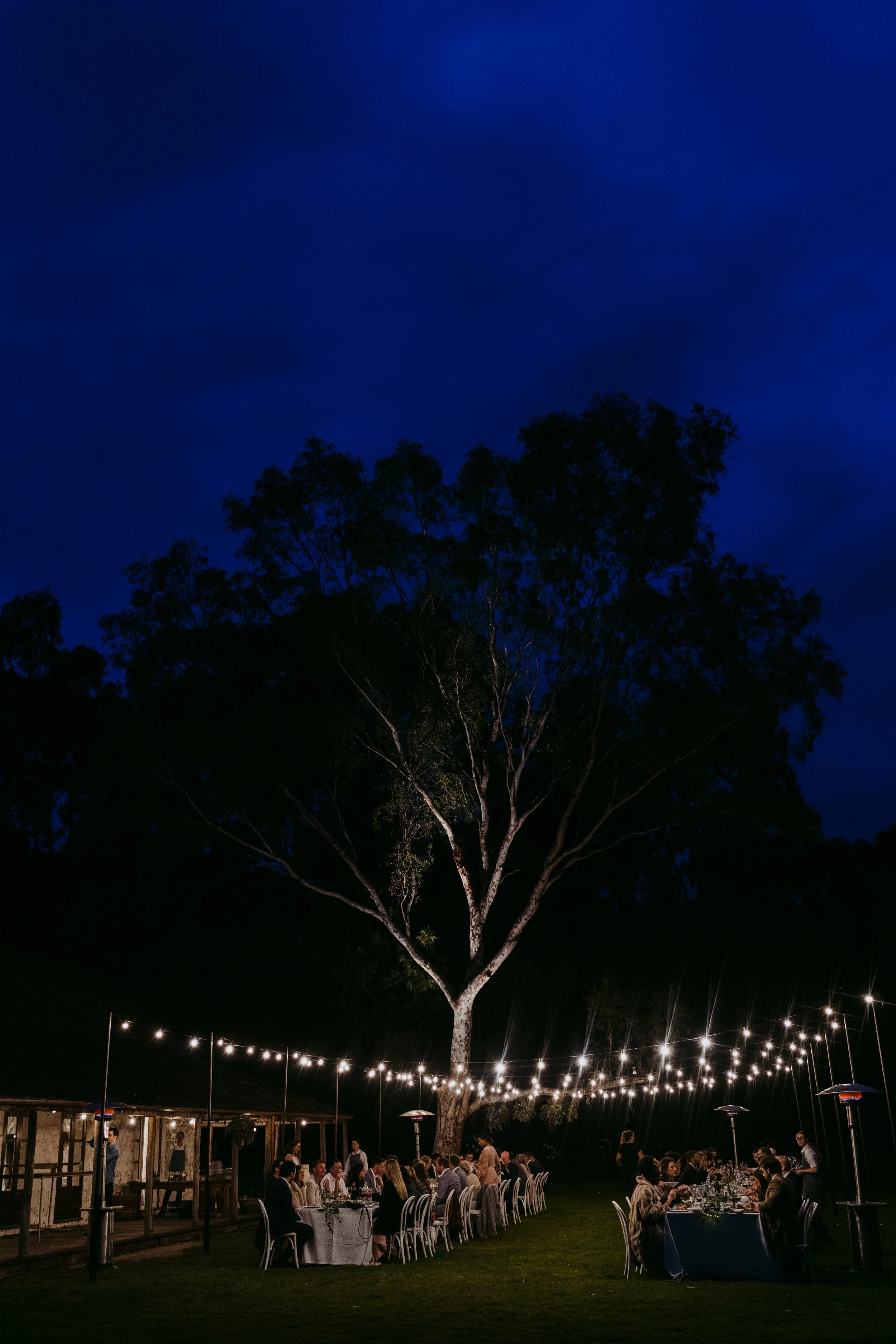 Bridget&Tim-689.jpg