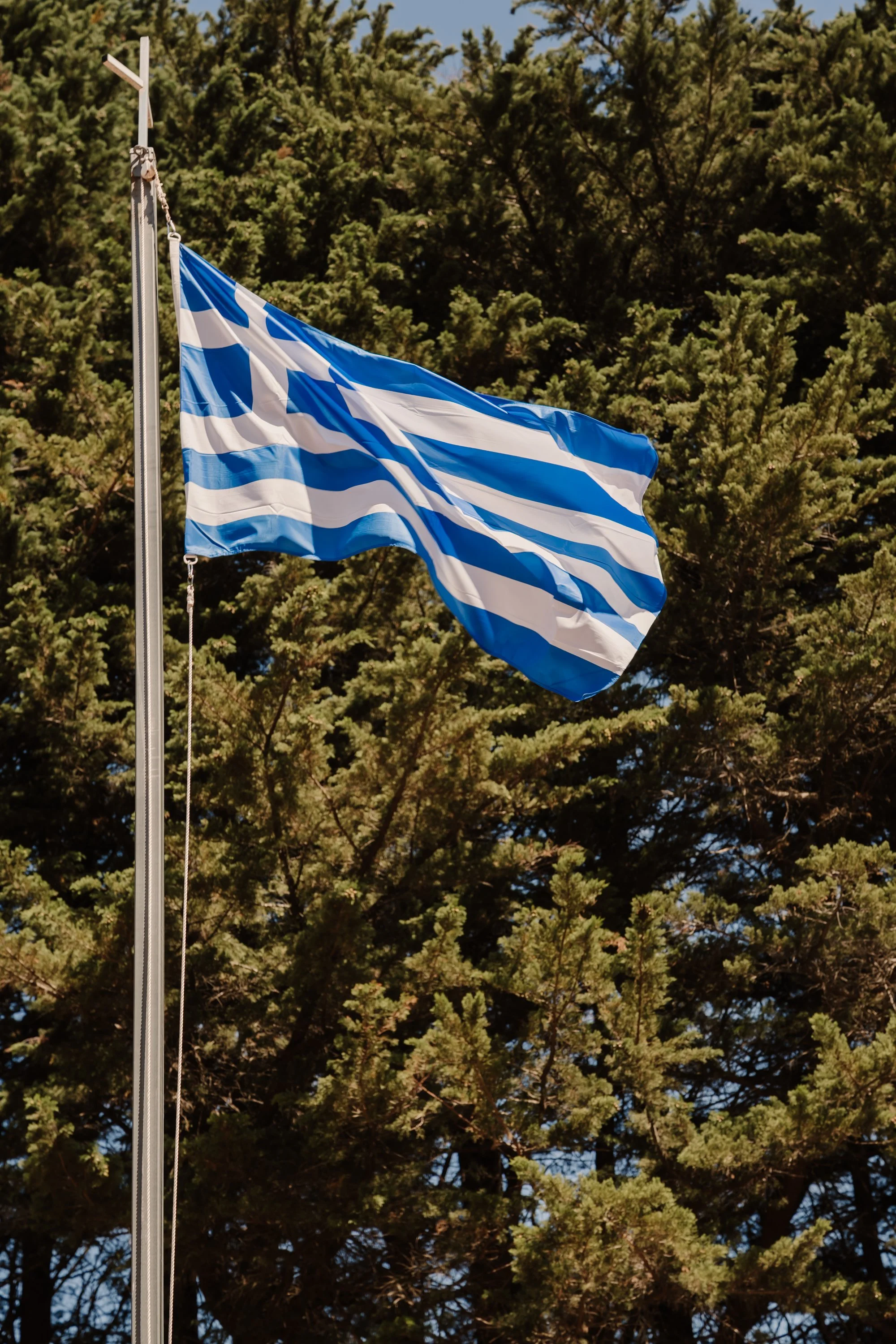 Blossom Ever After - Nikki & Jimmy-269.jpg