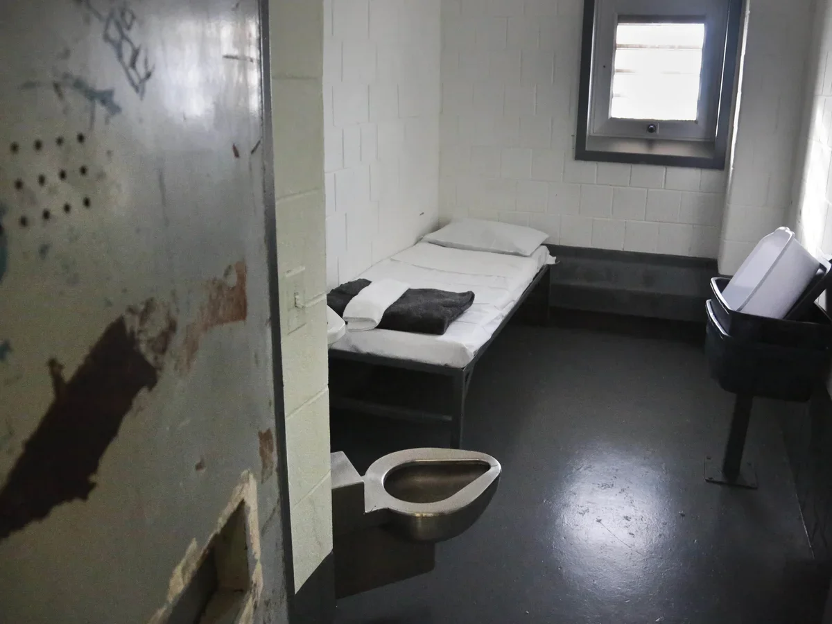 The Constitutionality of Excessive Solitary Confinement