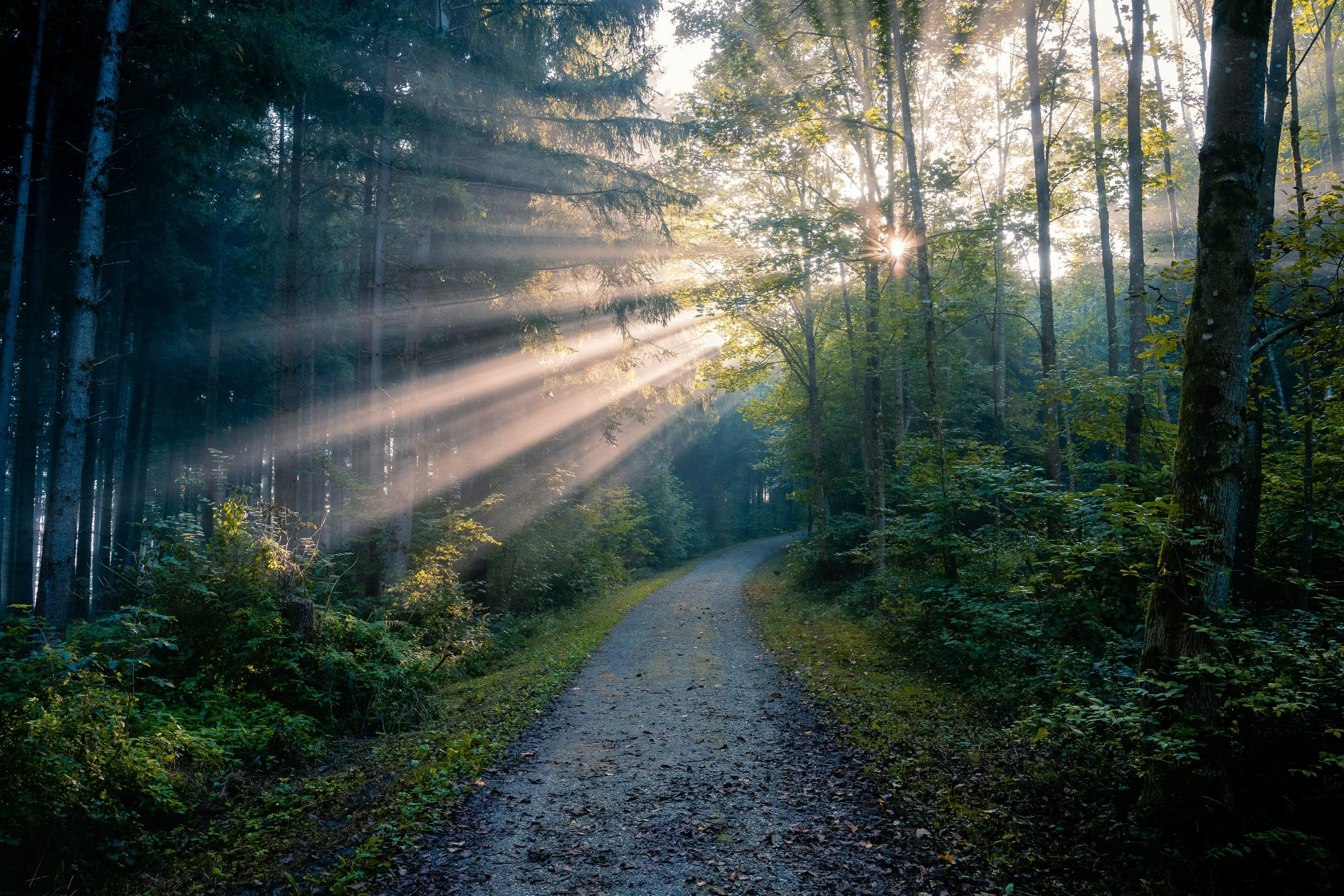 A Hopeful Path for Wellbeing: A free online monthly gathering