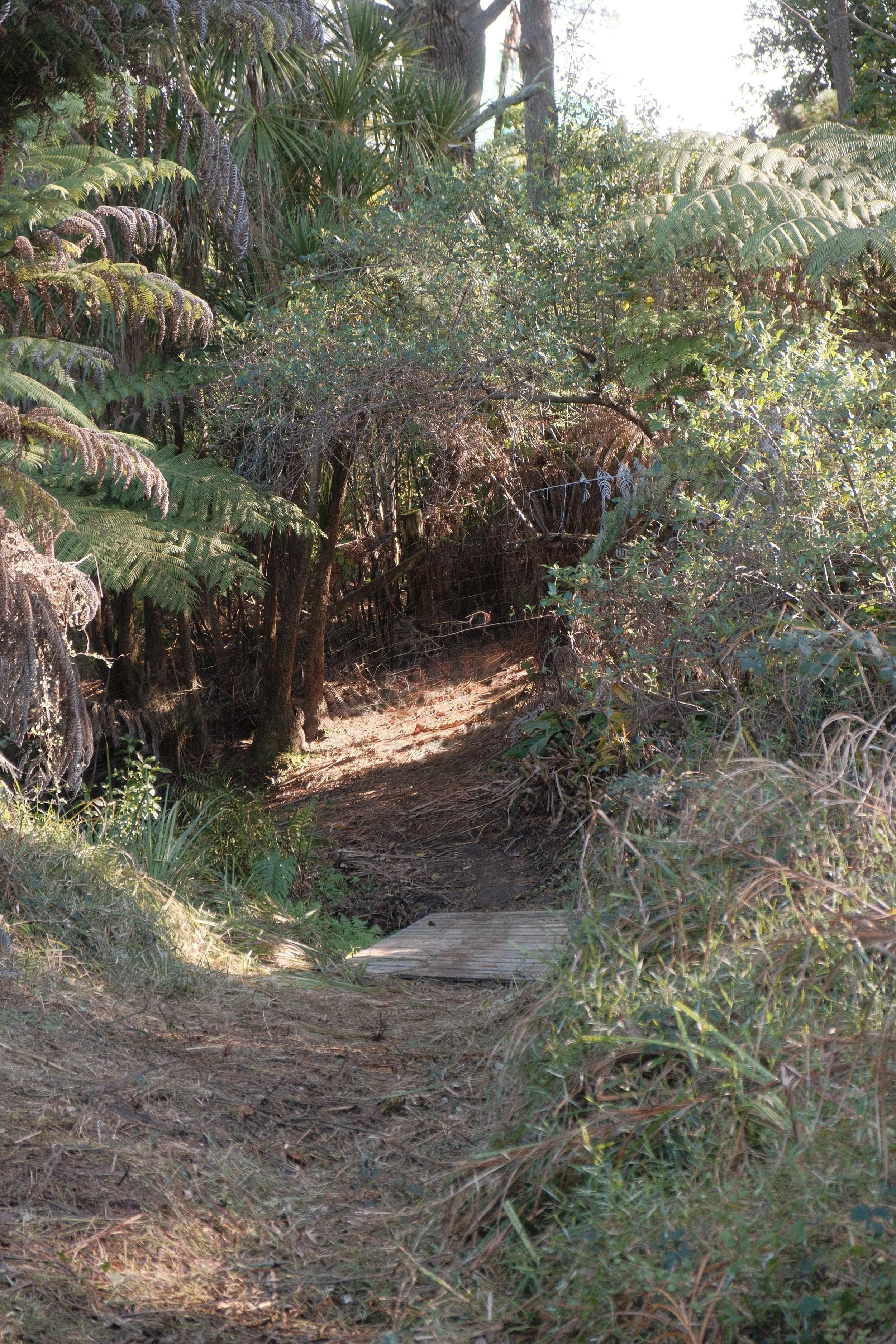 DSCF2663 2.jpg