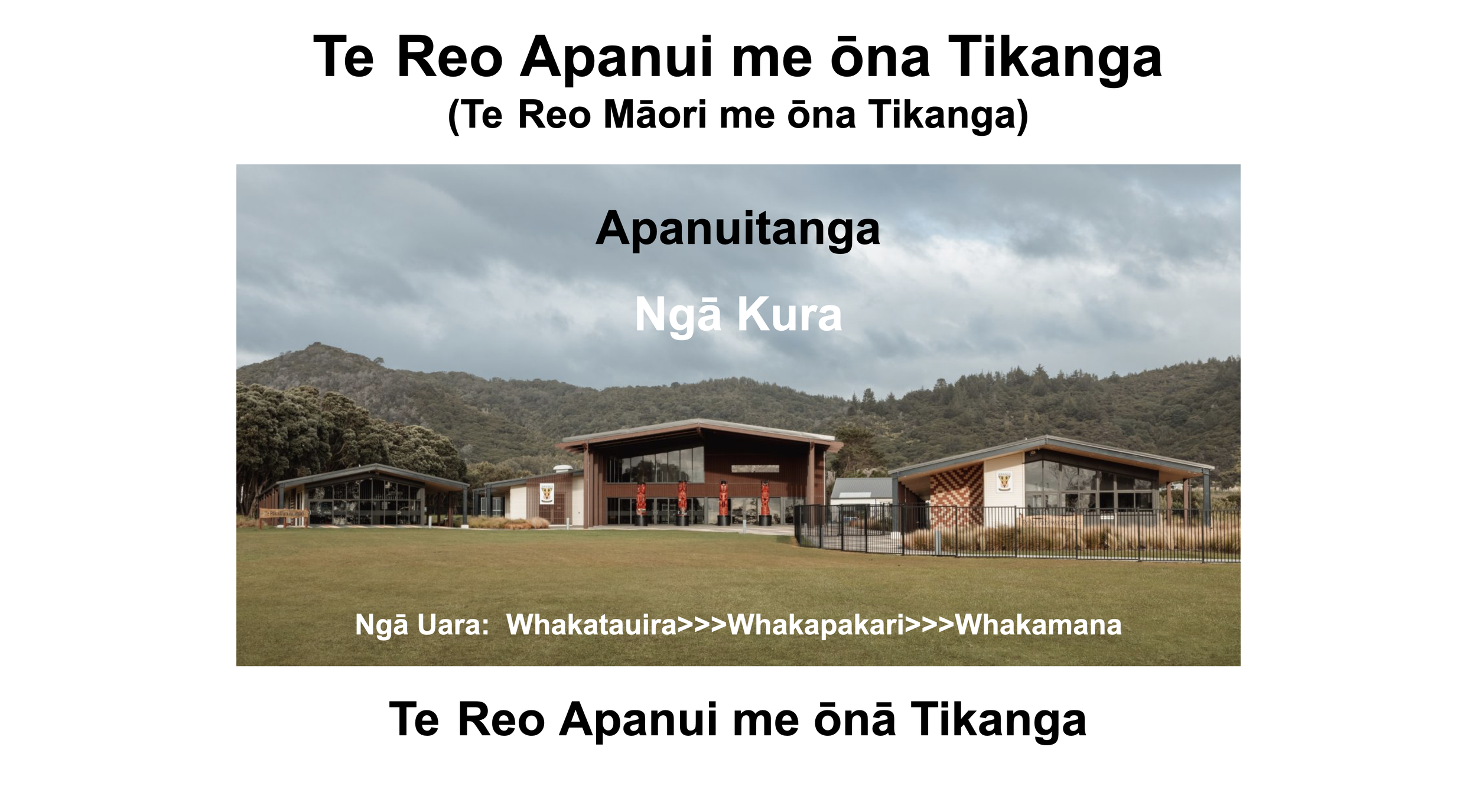 Screenshot 2025-03-03 at 2.41.35 PM.png