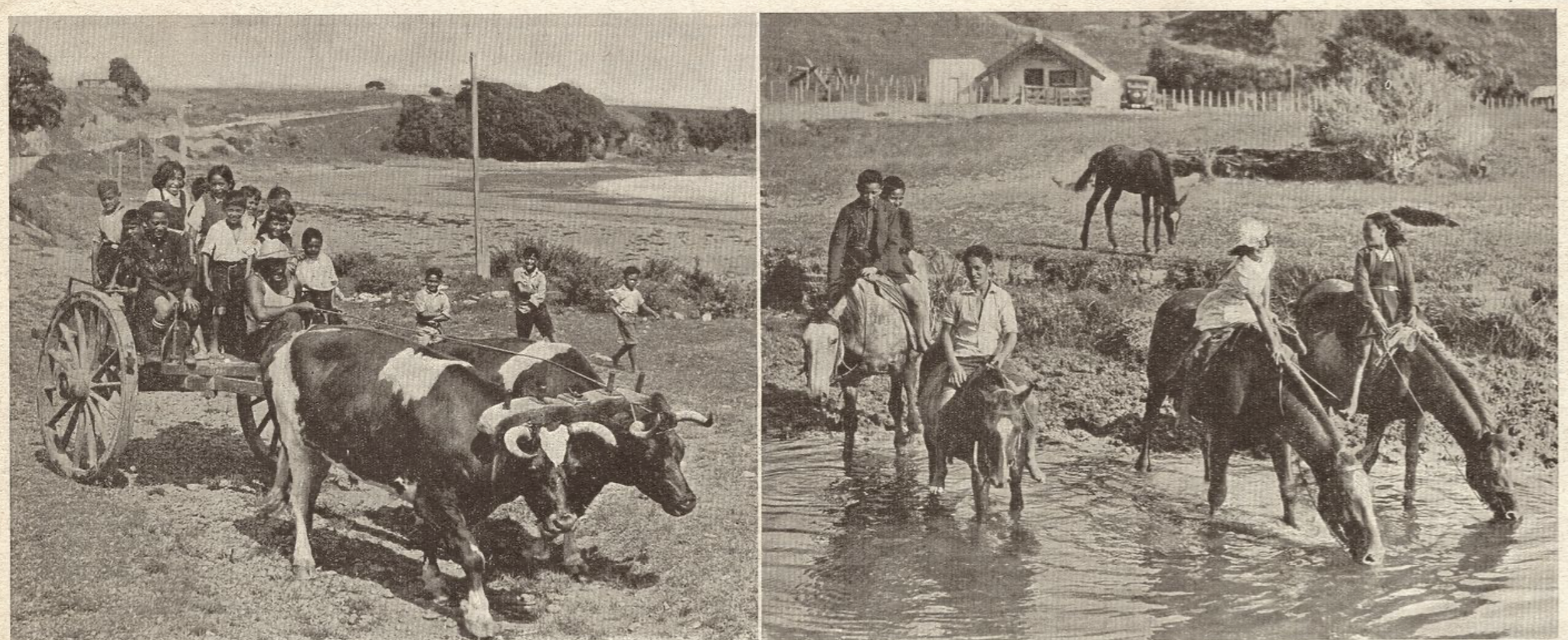 Screenshot 2024-12-09 at 1.58.06 PM.png